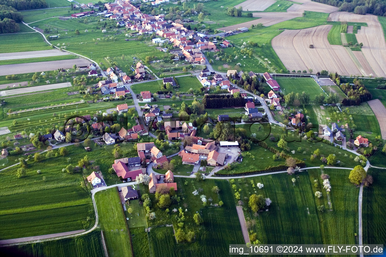 Dorf - Ansicht am Rande von landwirtschaftlichen Feldern und Nutzflächen in Laubach in Grand Est im Bundesland Bas-Rhin, Frankreich