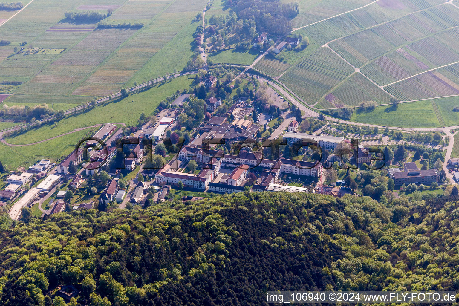 Klingenmünster im Bundesland Rheinland-Pfalz, Deutschland von einer Drohne aus