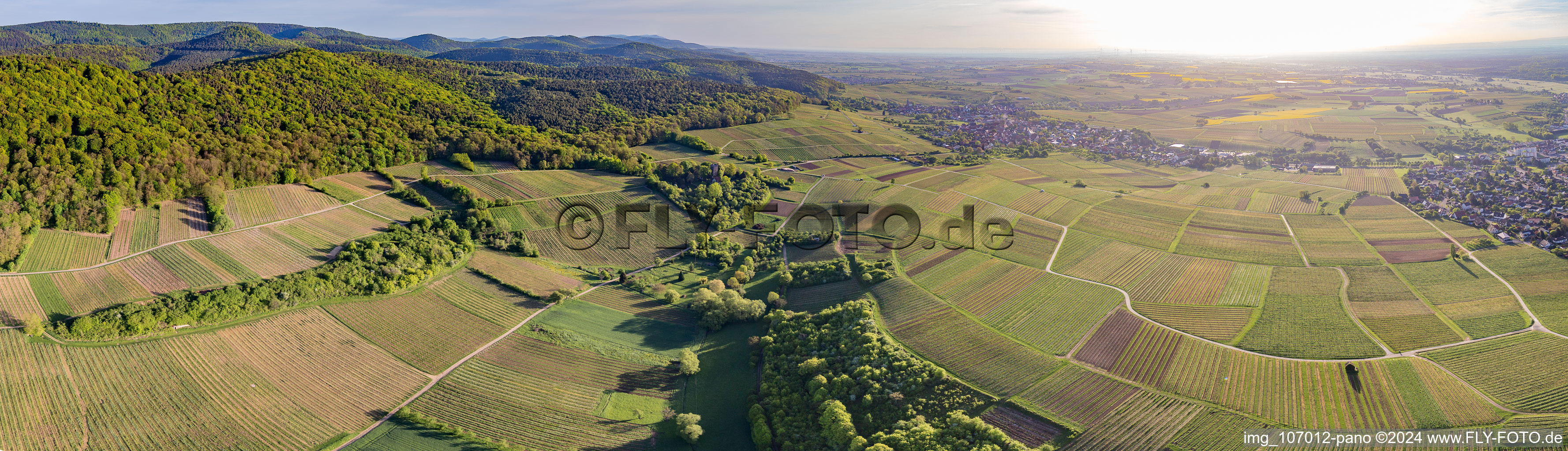 Panorama - Perspektive Weinbergs- Landschaft der Weinlage Sonnenberg in Wissembourg in Grand Est im Bundesland Bas-Rhin, Frankreich