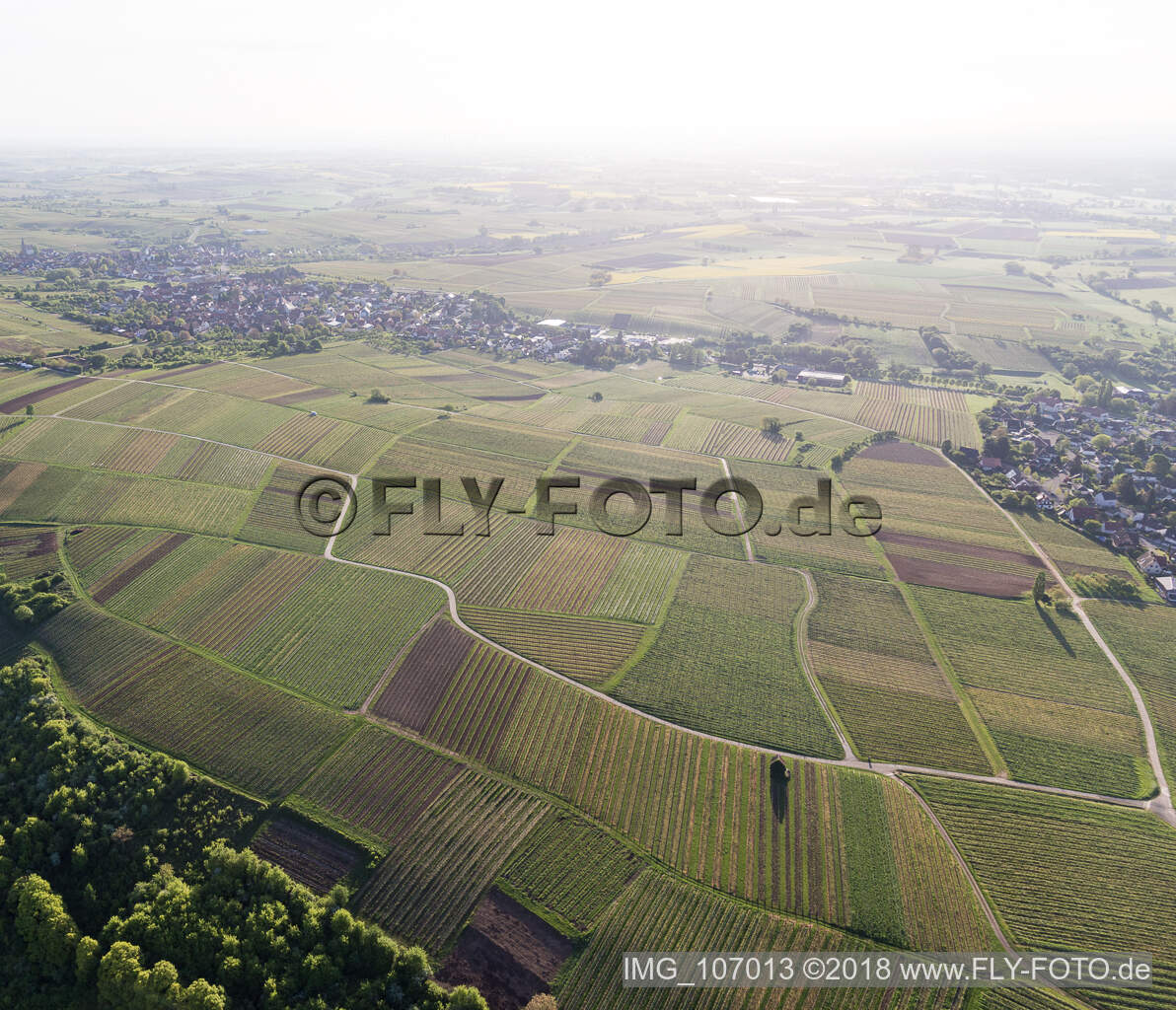 Luftbild von Wissembourg, Weinlage Sonnenberg im Bundesland Bas-Rhin, Frankreich
