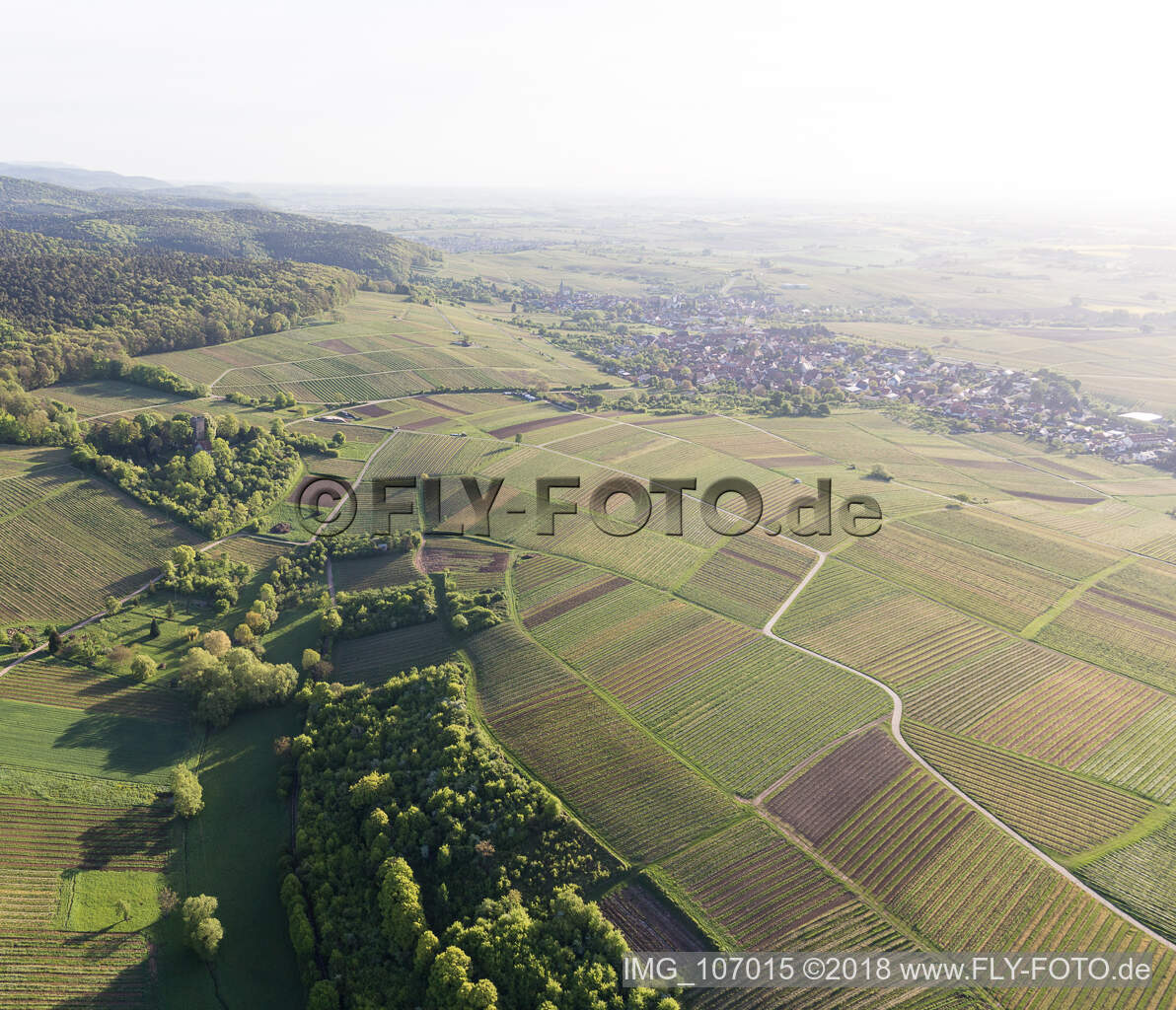Schrägluftbild von Wissembourg, Weinlage Sonnenberg im Bundesland Bas-Rhin, Frankreich