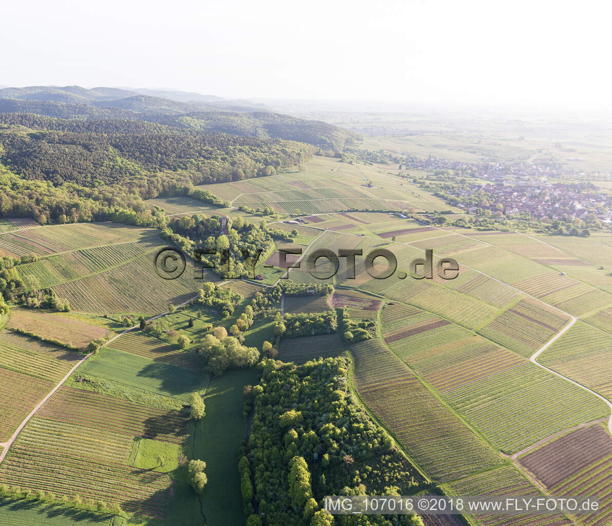 Wissembourg, Weinlage Sonnenberg im Bundesland Bas-Rhin, Frankreich von oben