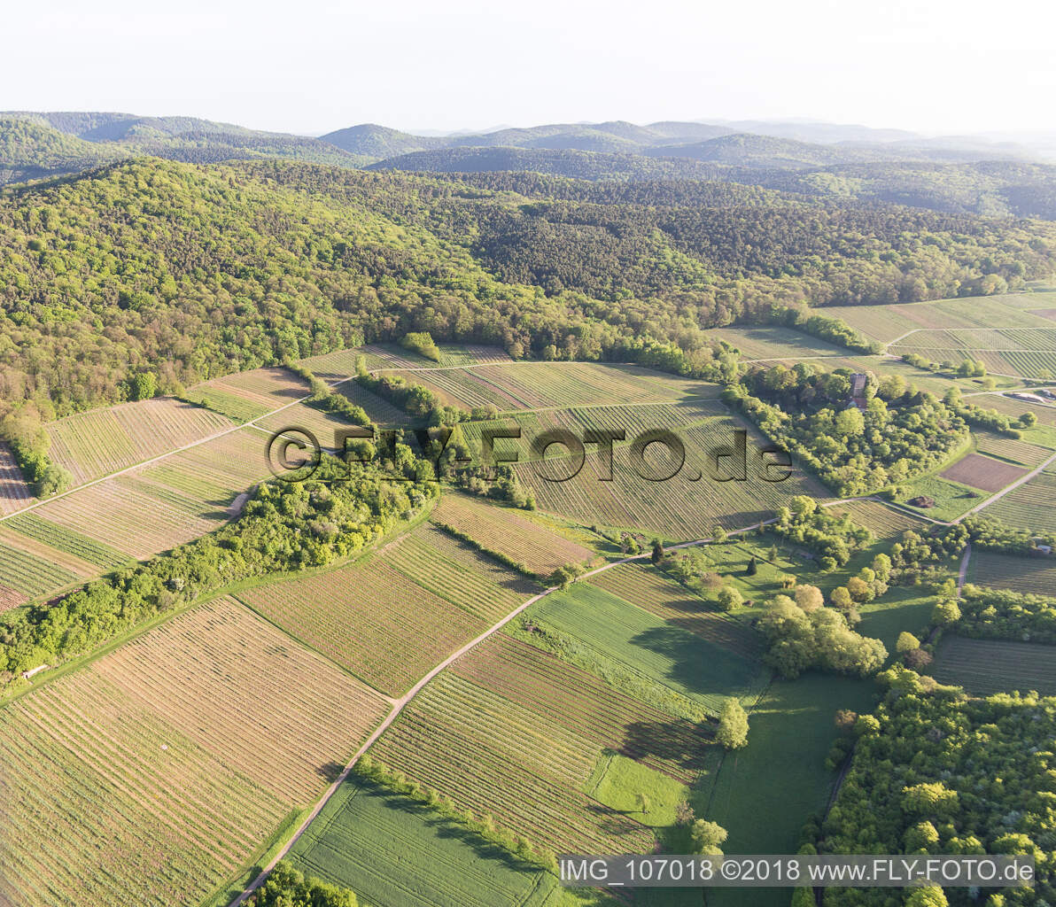 Wissembourg, Weinlage Sonnenberg im Bundesland Bas-Rhin, Frankreich von oben gesehen