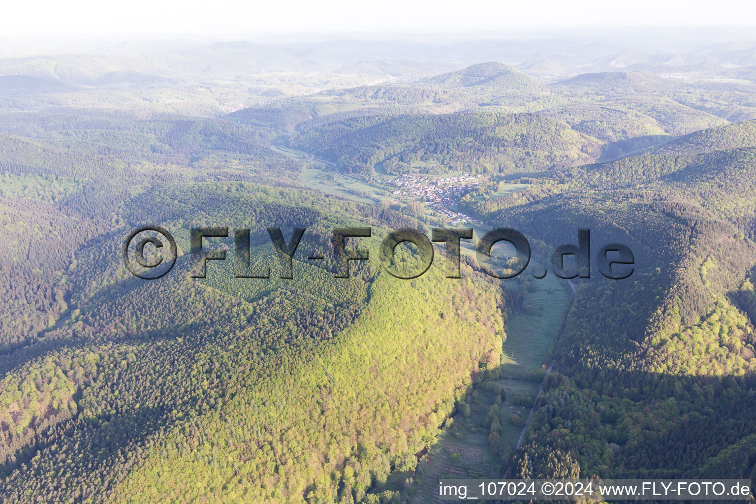 Luftbild von Niederschlettenbach im Bundesland Rheinland-Pfalz, Deutschland