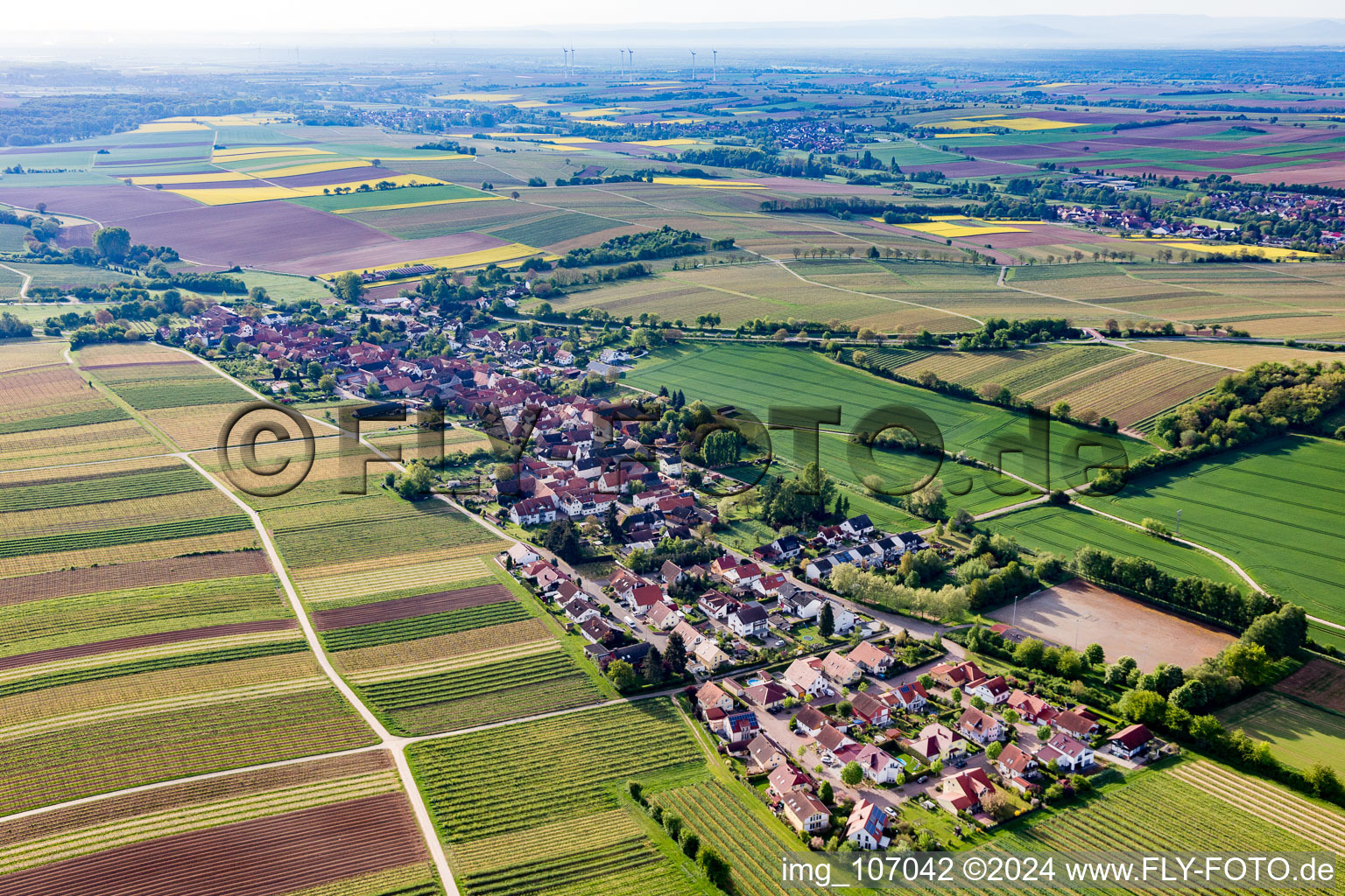 Niederhorbach im Bundesland Rheinland-Pfalz, Deutschland von einer Drohne aus