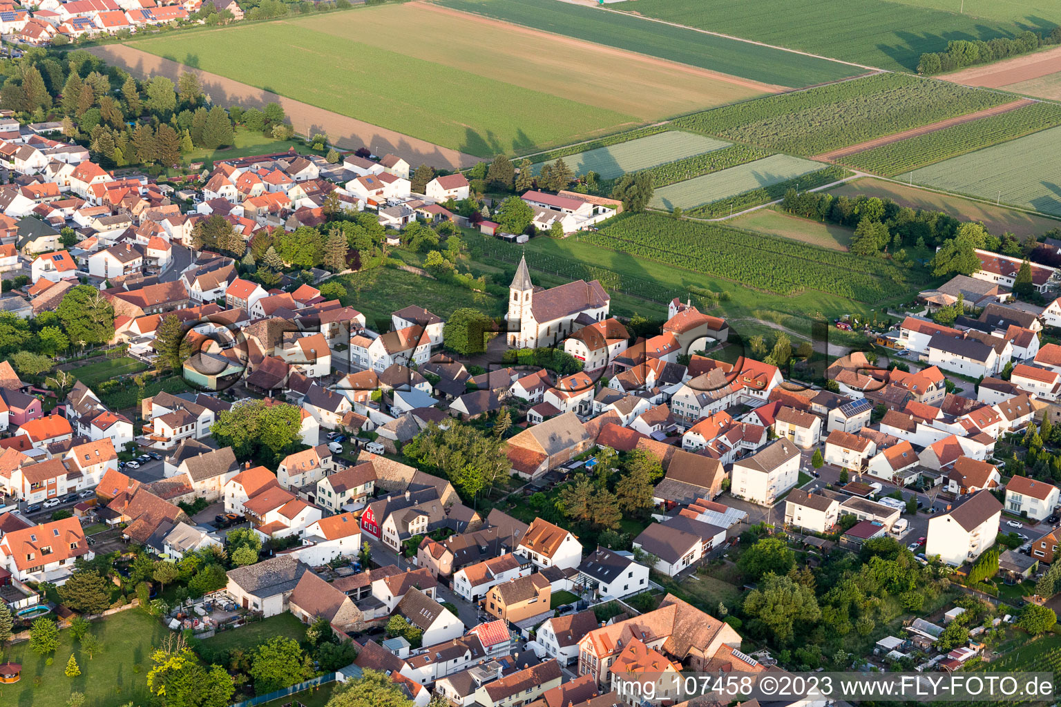 Luftaufnahme von Rödersheim-Gronau im Bundesland Rheinland-Pfalz, Deutschland
