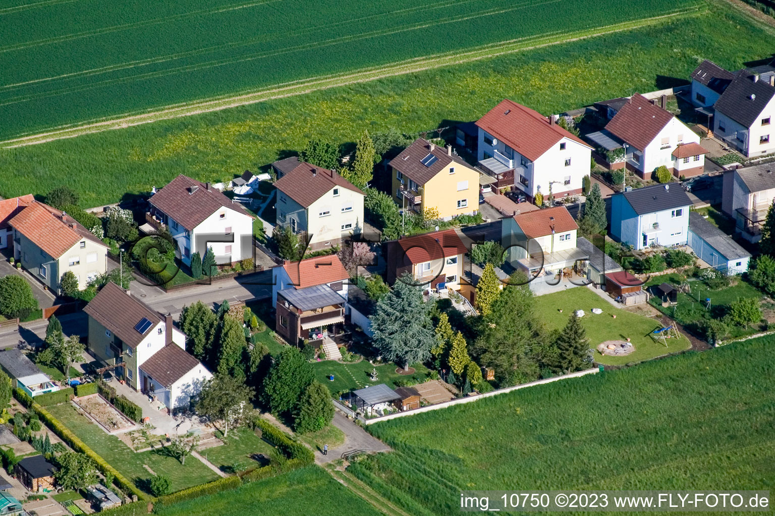 Freckenfeld im Bundesland Rheinland-Pfalz, Deutschland aus der Drohnenperspektive