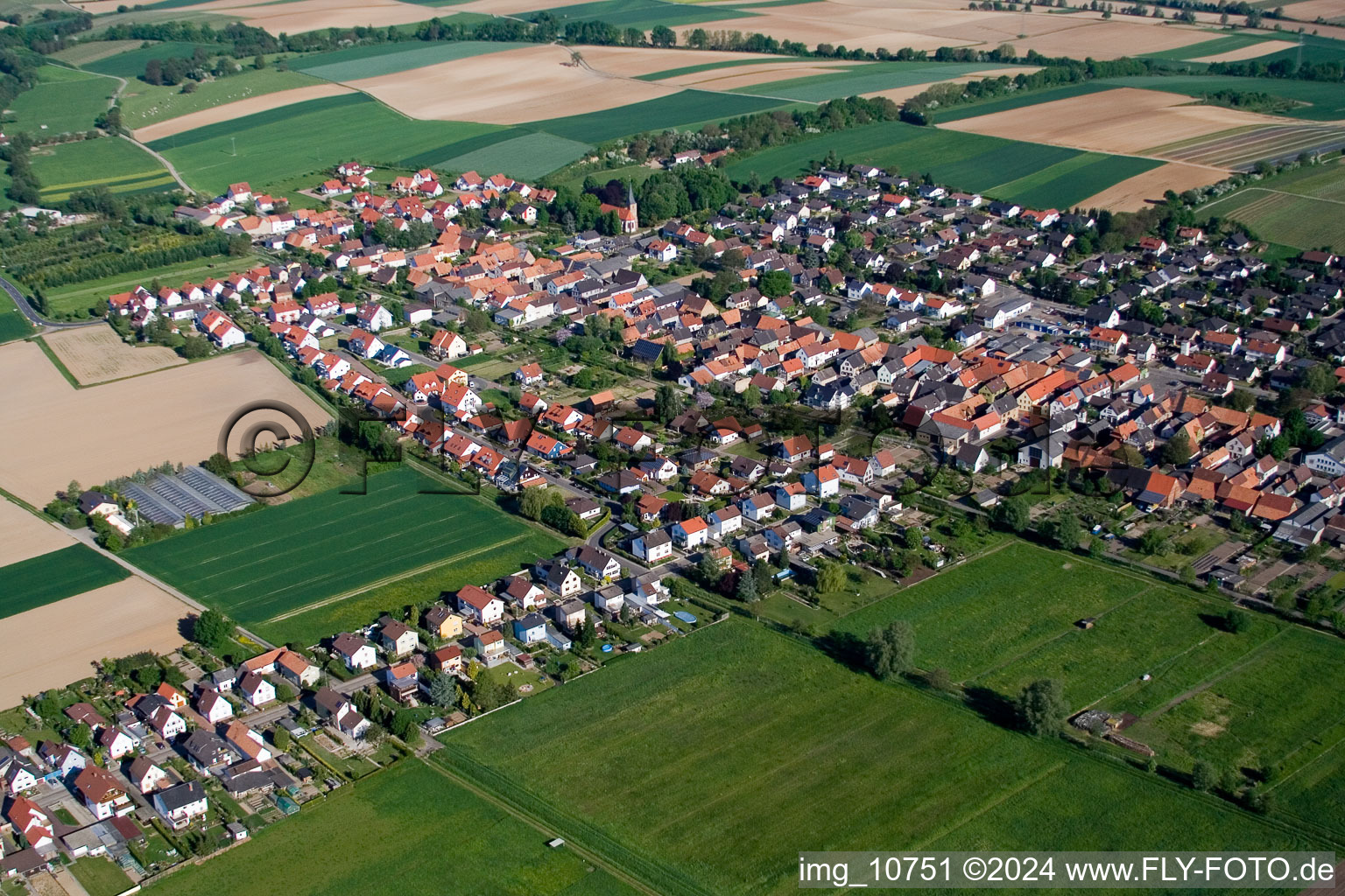 Dorf - Ansicht am Rande von landwirtschaftlichen Feldern und Nutzflächen in Freckenfeld im Bundesland Rheinland-Pfalz, Deutschland