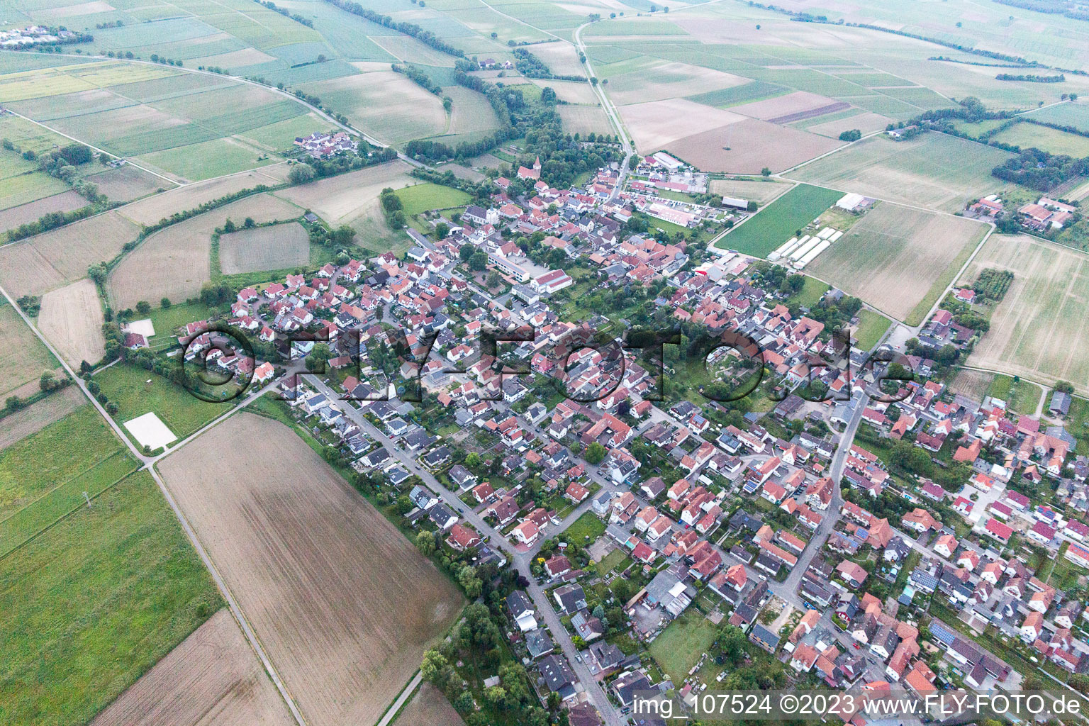 Minfeld im Bundesland Rheinland-Pfalz, Deutschland aus der Luft