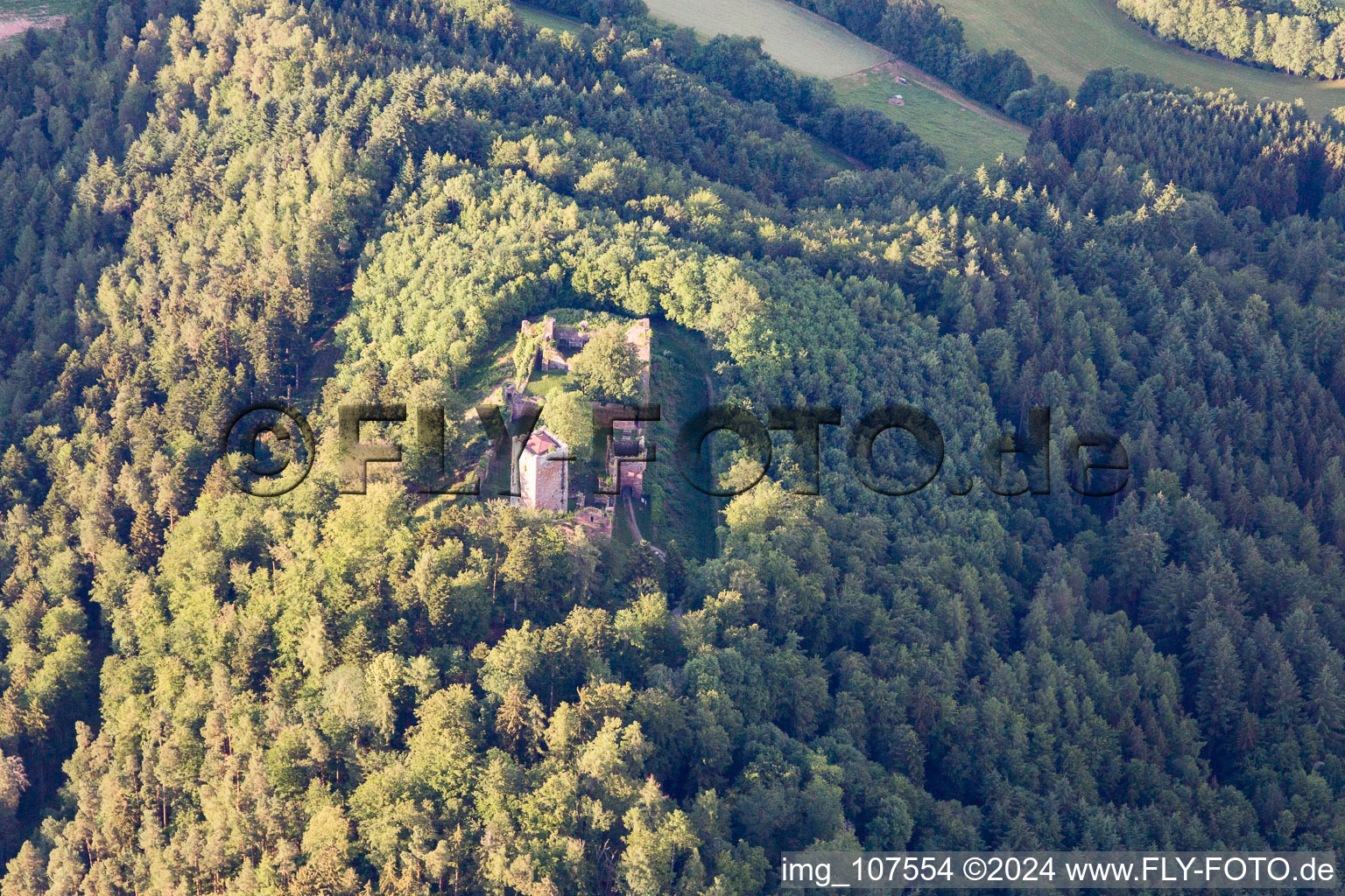 Burganlage der Veste Wildenberg in Amorbach im Bundesland Bayern, Deutschland