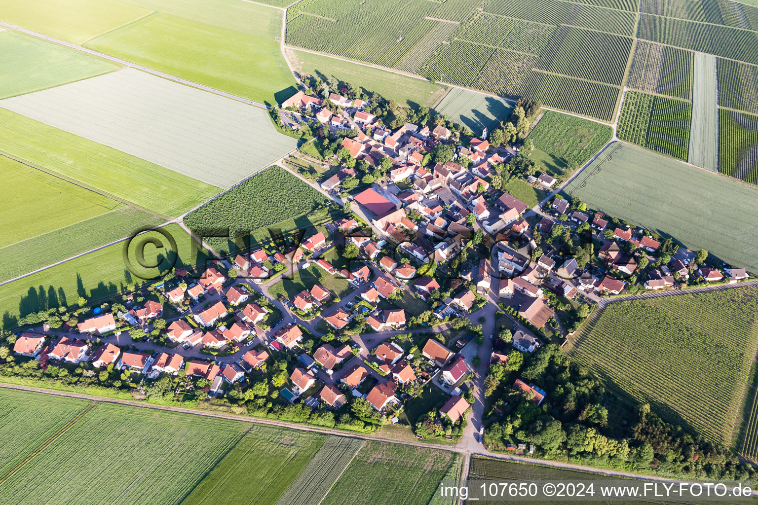 Luftaufnahme von Frettenheim im Bundesland Rheinland-Pfalz, Deutschland