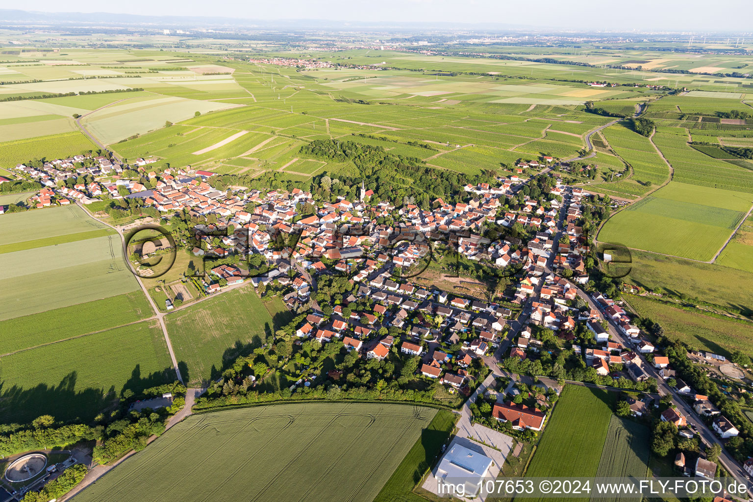 Dittelsheim-Heßloch im Bundesland Rheinland-Pfalz, Deutschland aus der Luft betrachtet