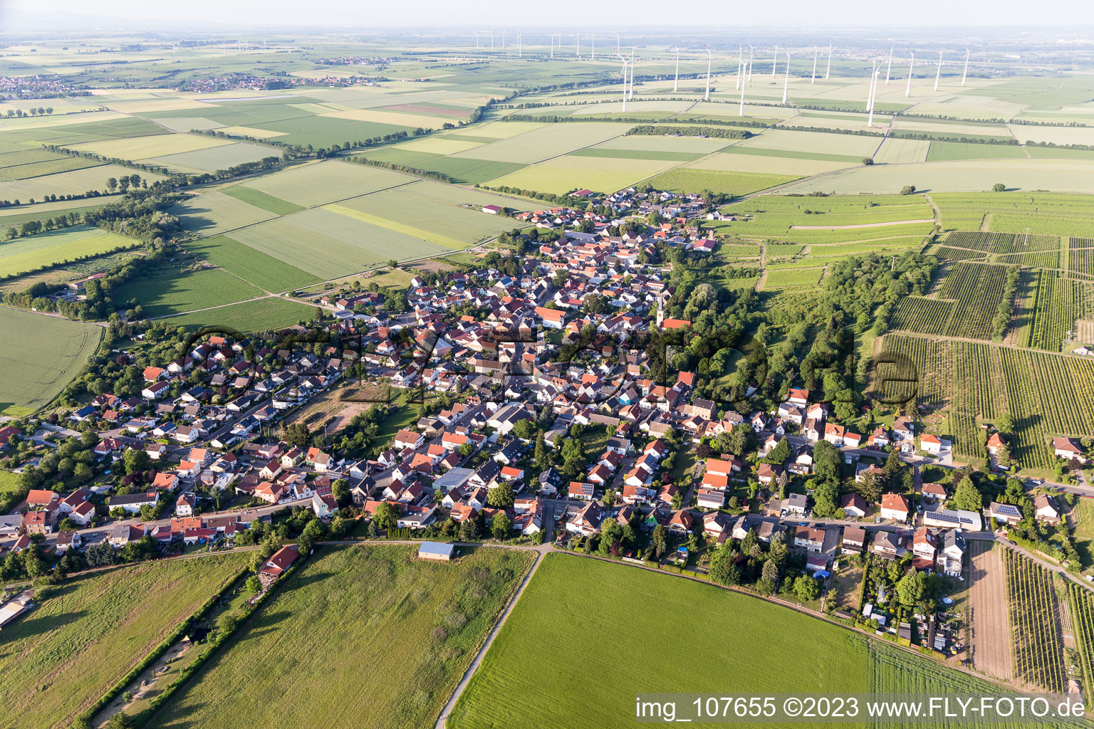 Drohnenaufname von Dittelsheim-Heßloch im Bundesland Rheinland-Pfalz, Deutschland