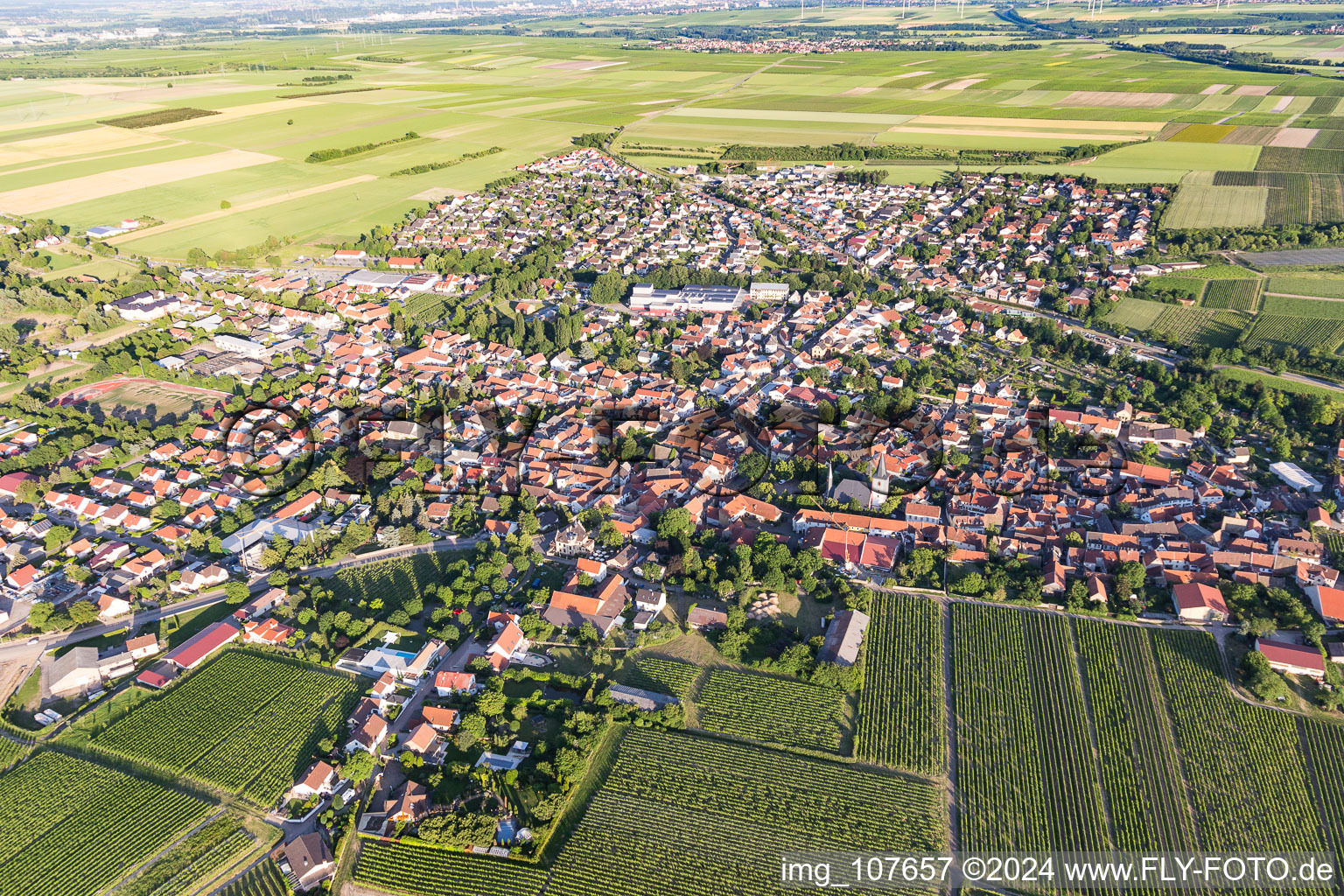 Westhofen im Bundesland Rheinland-Pfalz, Deutschland aus der Luft betrachtet