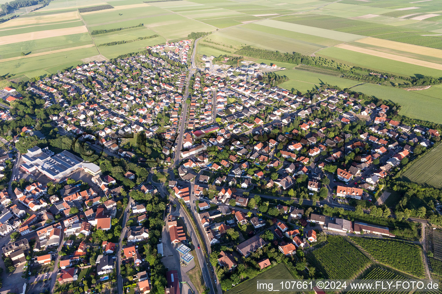 Drohnenbild von Westhofen im Bundesland Rheinland-Pfalz, Deutschland