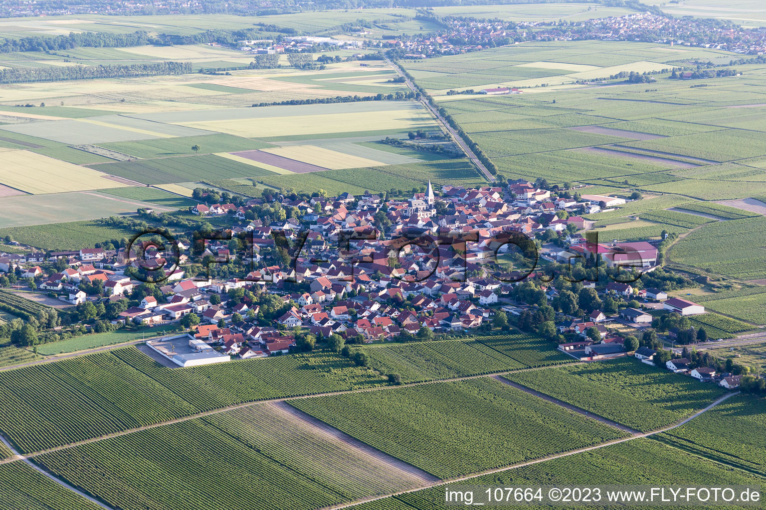 Luftbild von Gundheim im Bundesland Rheinland-Pfalz, Deutschland