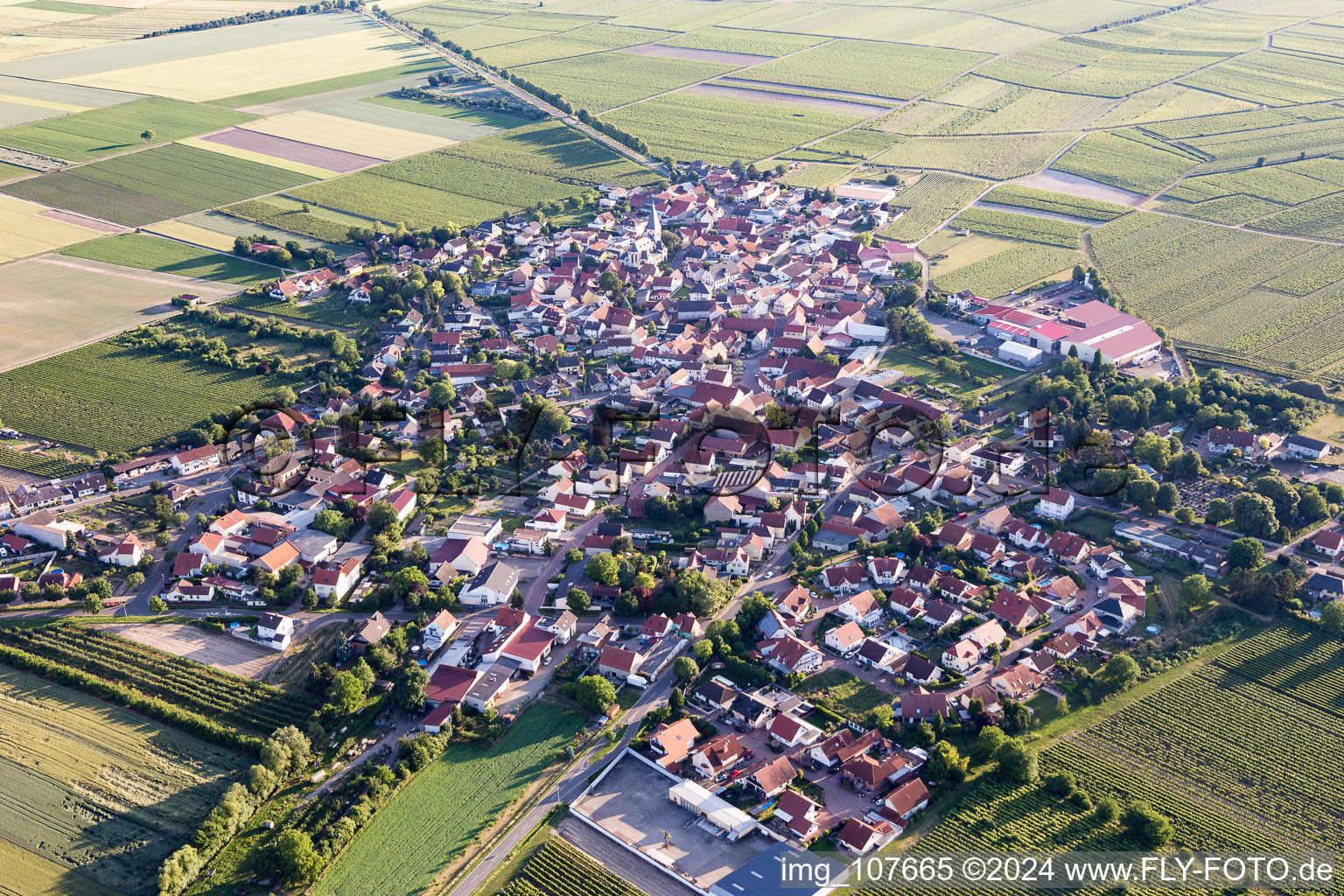 Luftaufnahme von Gundheim im Bundesland Rheinland-Pfalz, Deutschland