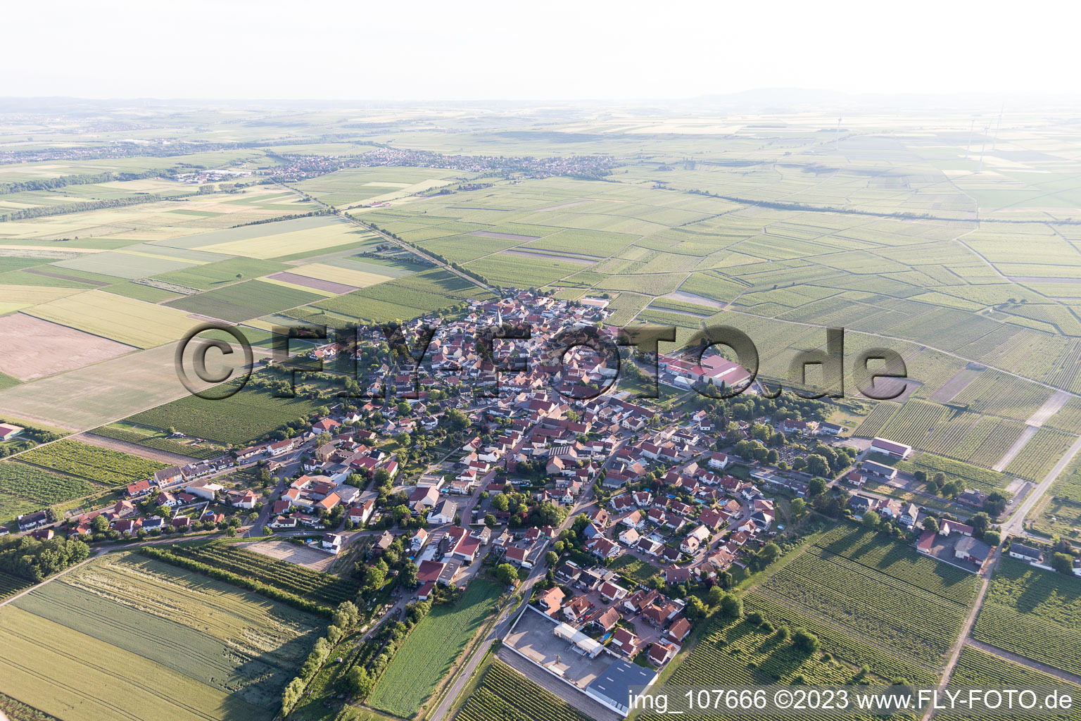 Schrägluftbild von Gundheim im Bundesland Rheinland-Pfalz, Deutschland