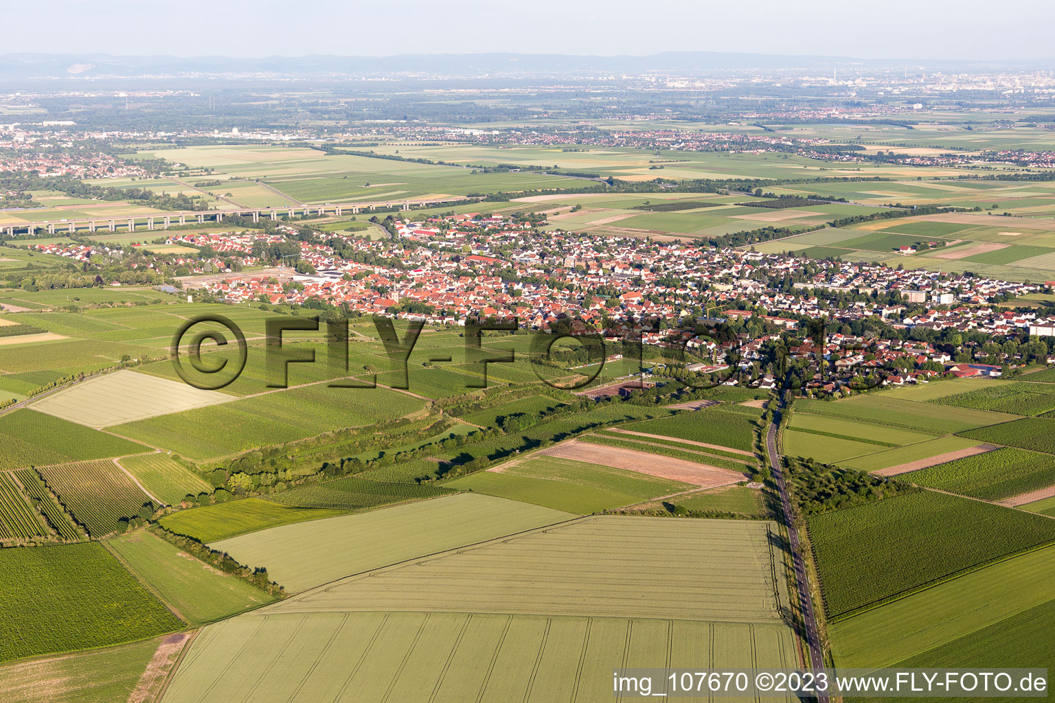 Luftaufnahme von Ortsteil Pfeddersheim in Worms im Bundesland Rheinland-Pfalz, Deutschland