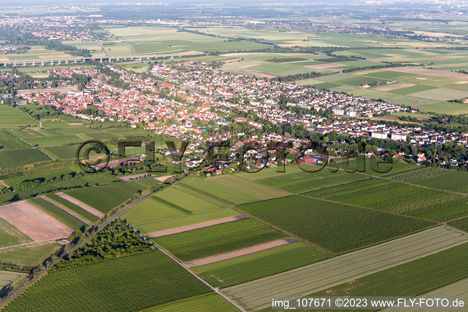 Schrägluftbild von Ortsteil Pfeddersheim in Worms im Bundesland Rheinland-Pfalz, Deutschland