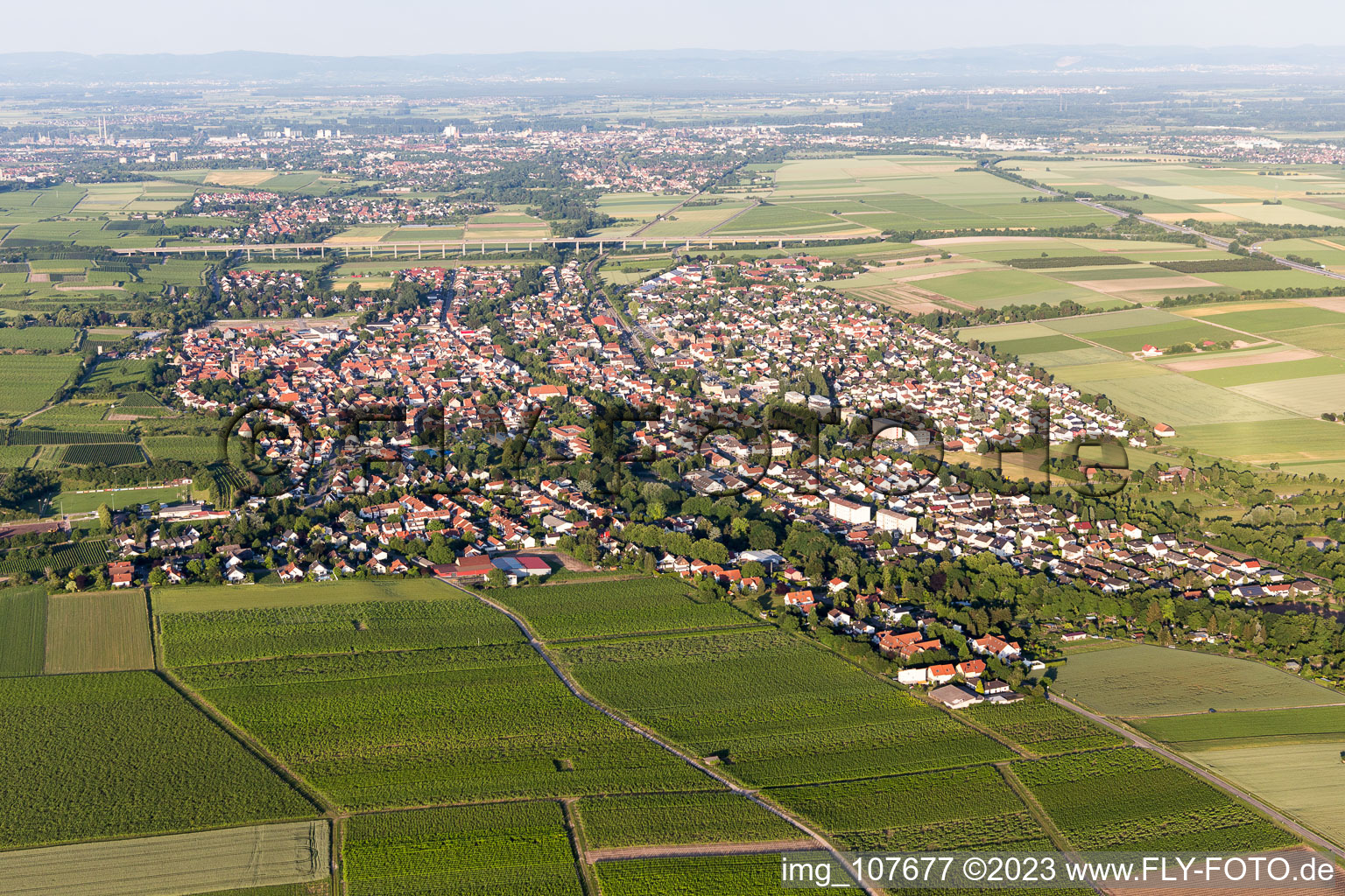 Ortsteil Pfeddersheim in Worms im Bundesland Rheinland-Pfalz, Deutschland von oben