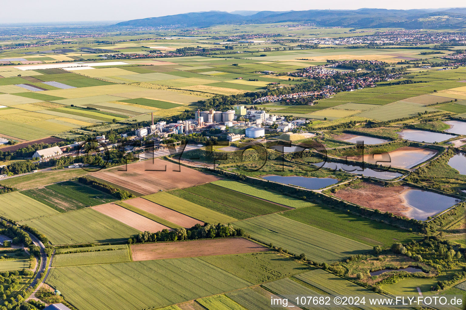 Luftbild von Klärwerksbecken zur Abwasserbehandlung der Zuckerfabrik Südzucker AG in Obrigheim (Pfalz) im Bundesland Rheinland-Pfalz, Deutschland
