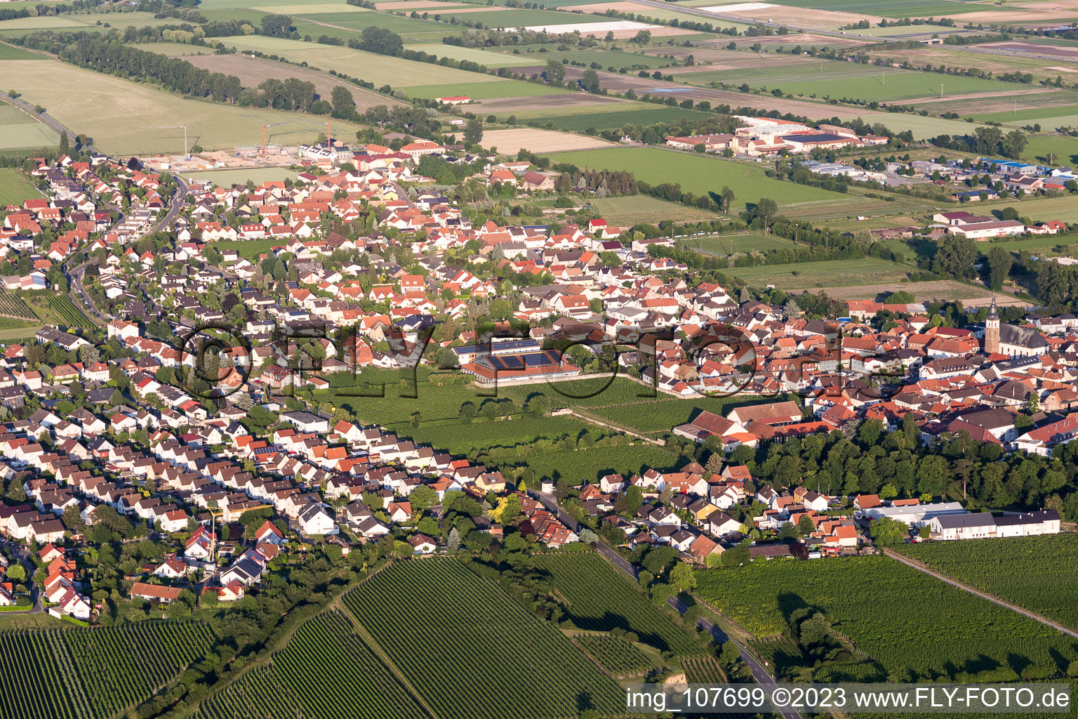 Luftbild von Dirmstein im Bundesland Rheinland-Pfalz, Deutschland