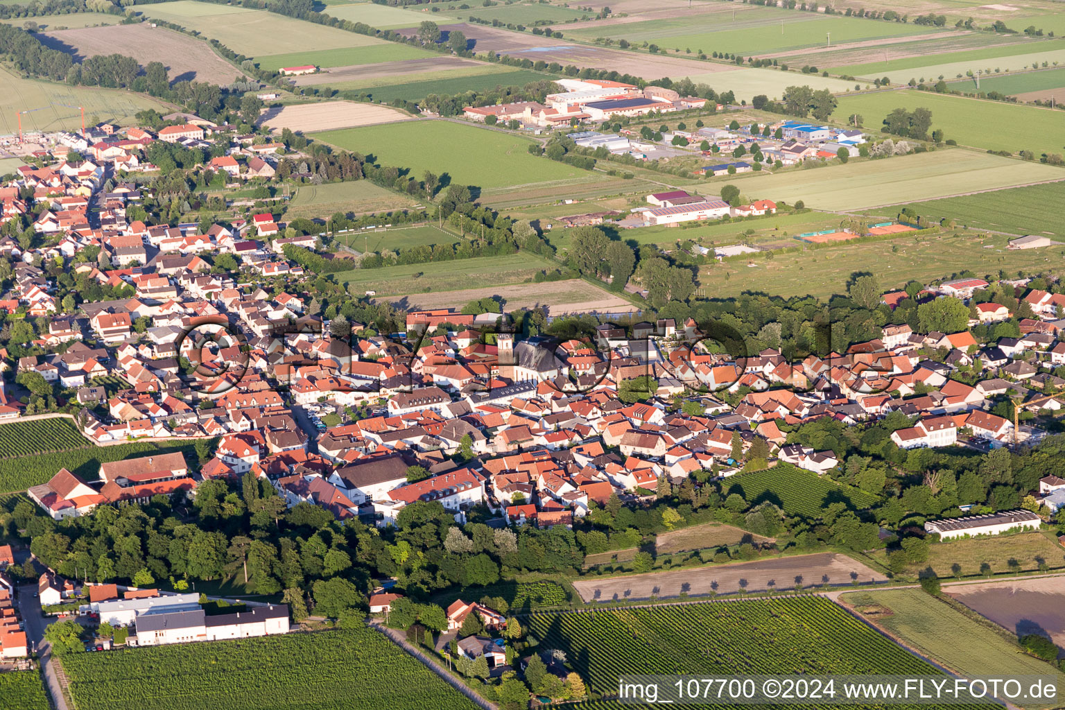 Luftaufnahme von Dirmstein im Bundesland Rheinland-Pfalz, Deutschland
