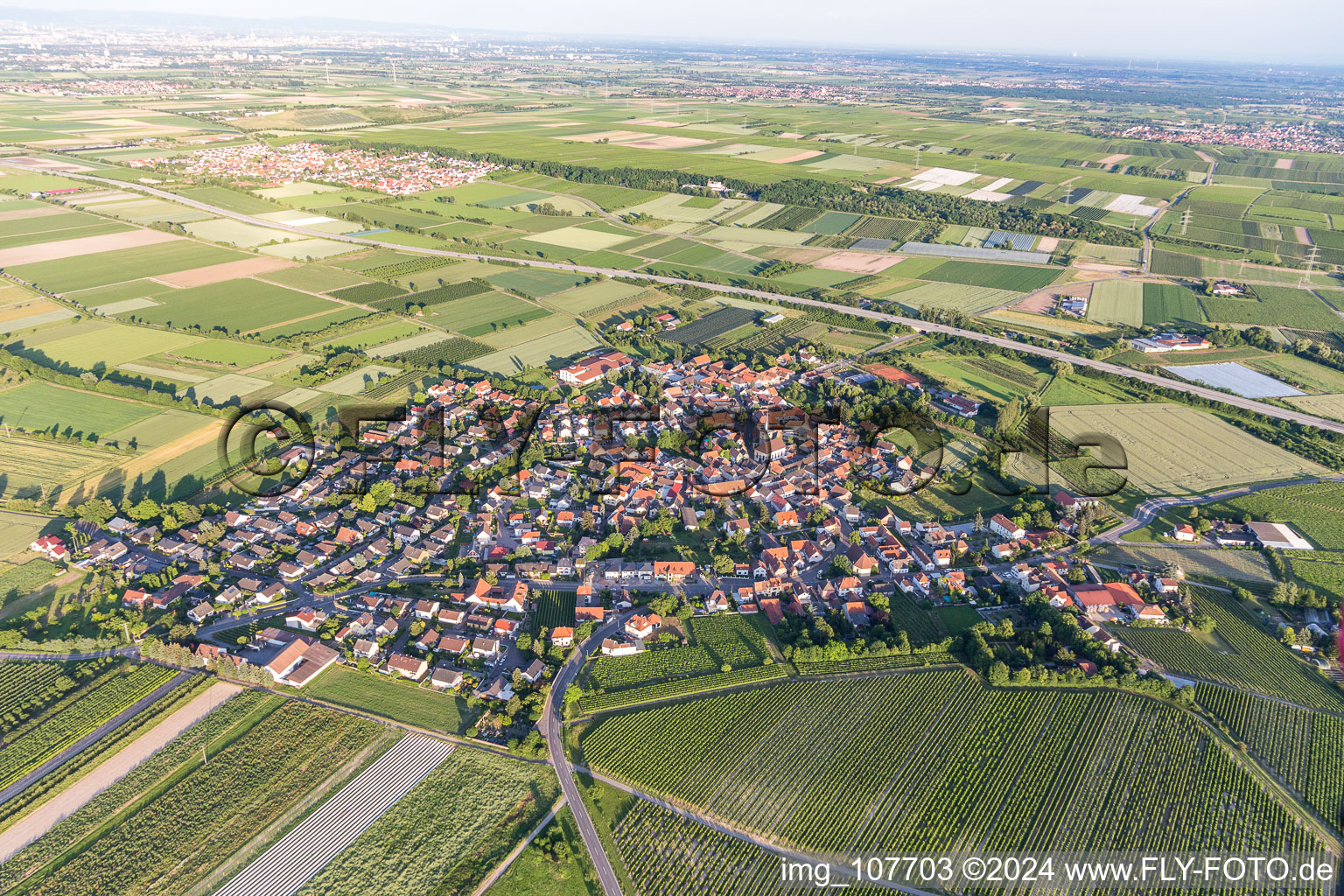 Luftbild von Laumersheim im Bundesland Rheinland-Pfalz, Deutschland