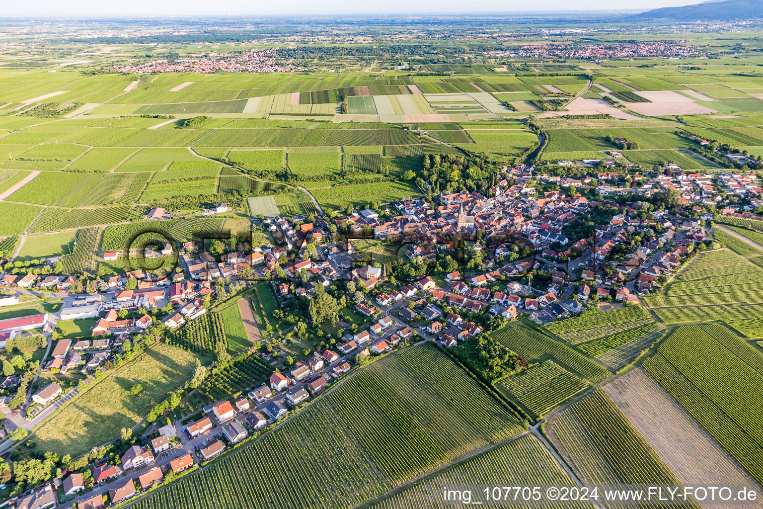 Ortsansicht am Rande von landwirtschaftlichen Feldern und Nutzflächen in Großkarlbach im Bundesland Rheinland-Pfalz, Deutschland