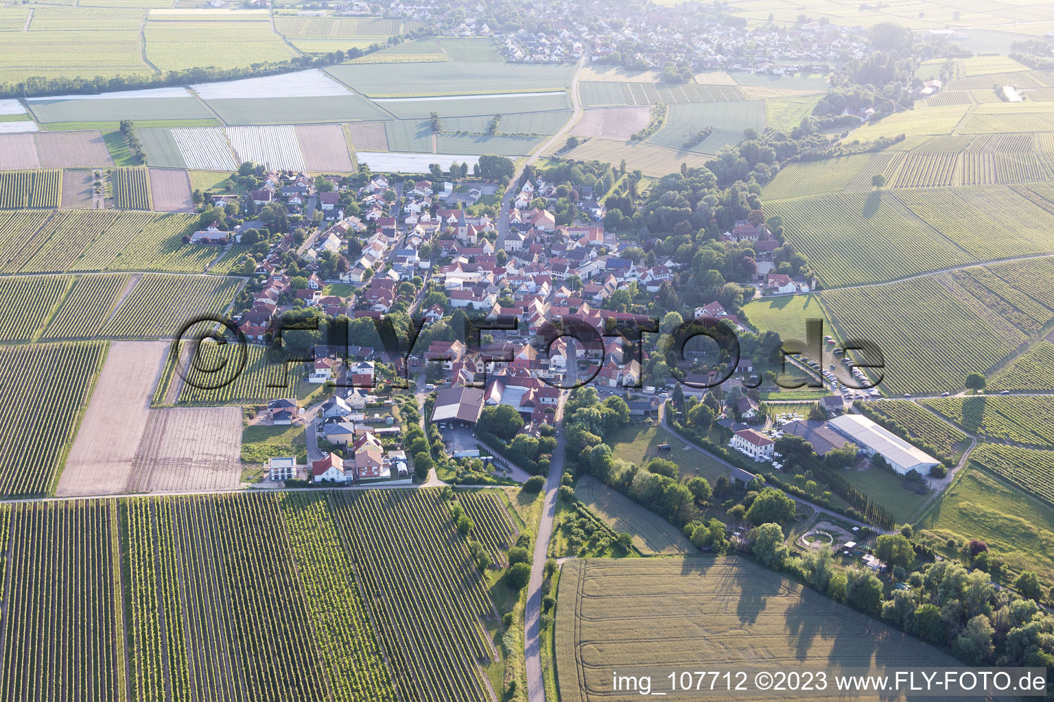 Luftbild von Bissersheim im Bundesland Rheinland-Pfalz, Deutschland