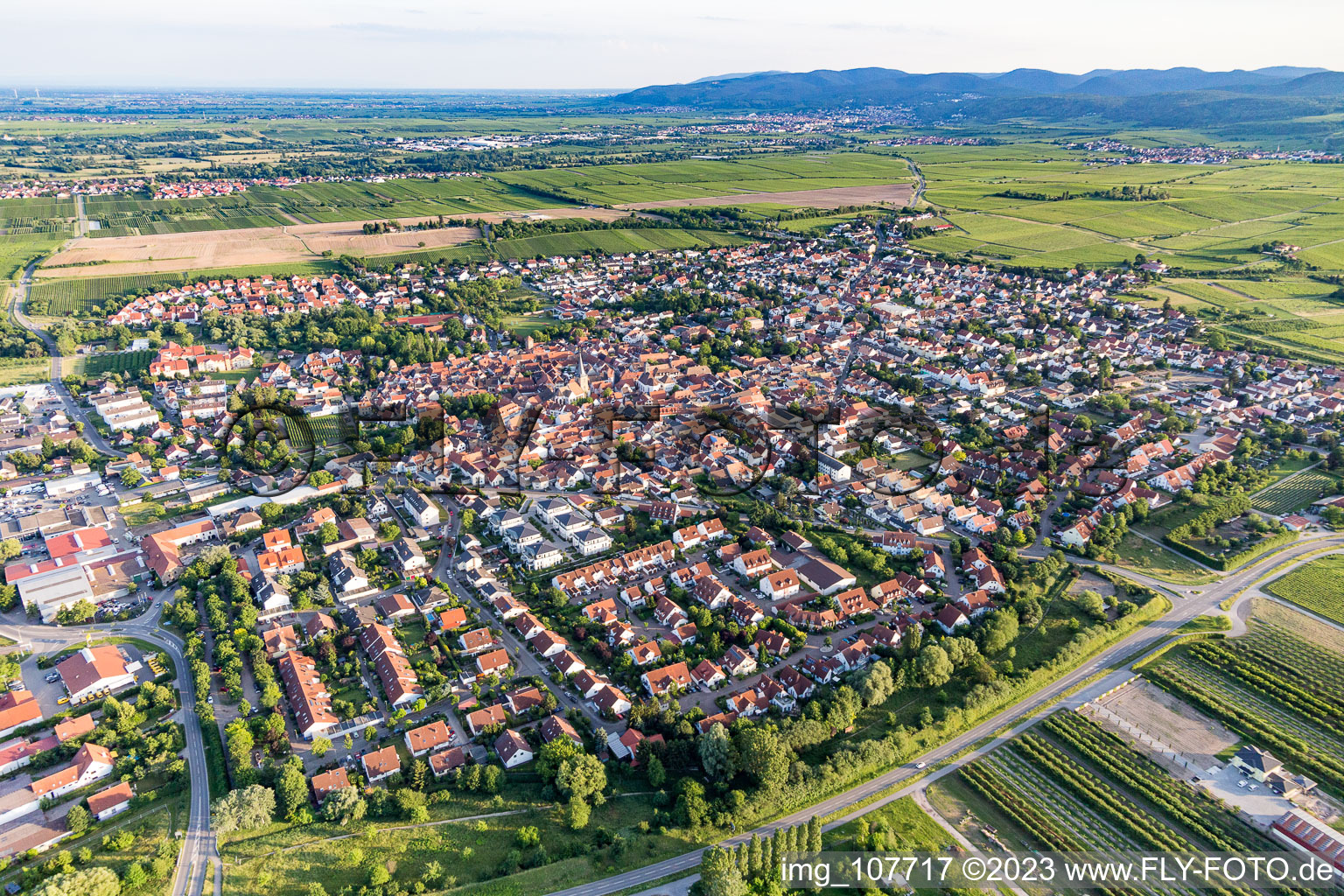 Freinsheim im Bundesland Rheinland-Pfalz, Deutschland aus der Luft betrachtet