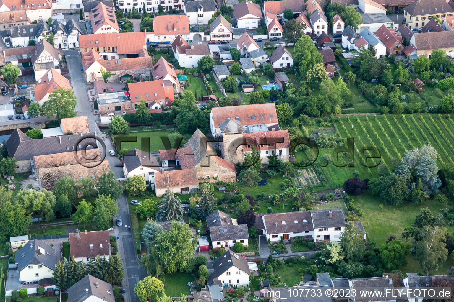 Luftaufnahme von Friedelsheim im Bundesland Rheinland-Pfalz, Deutschland
