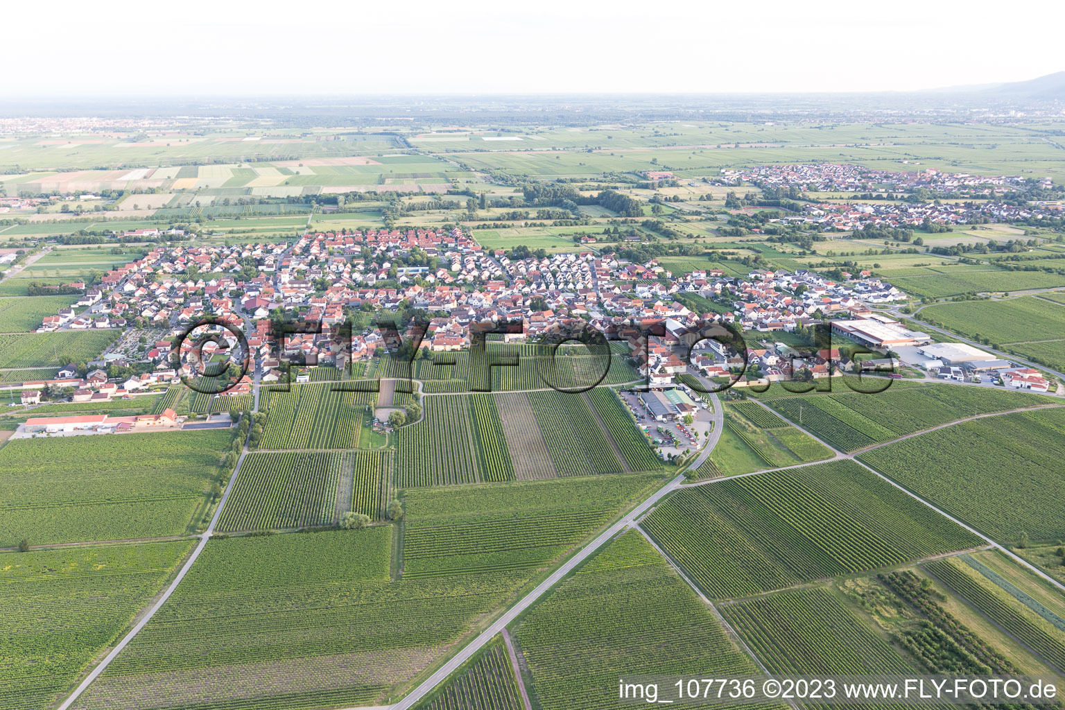 Luftaufnahme von Niederkirchen bei Deidesheim im Bundesland Rheinland-Pfalz, Deutschland
