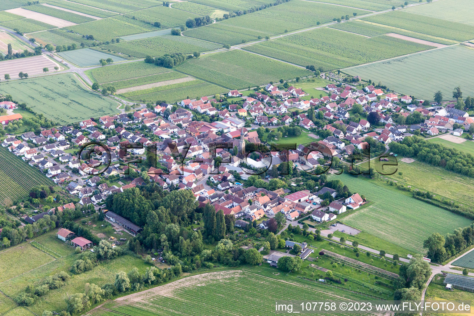 Großfischlingen im Bundesland Rheinland-Pfalz, Deutschland aus der Luft betrachtet
