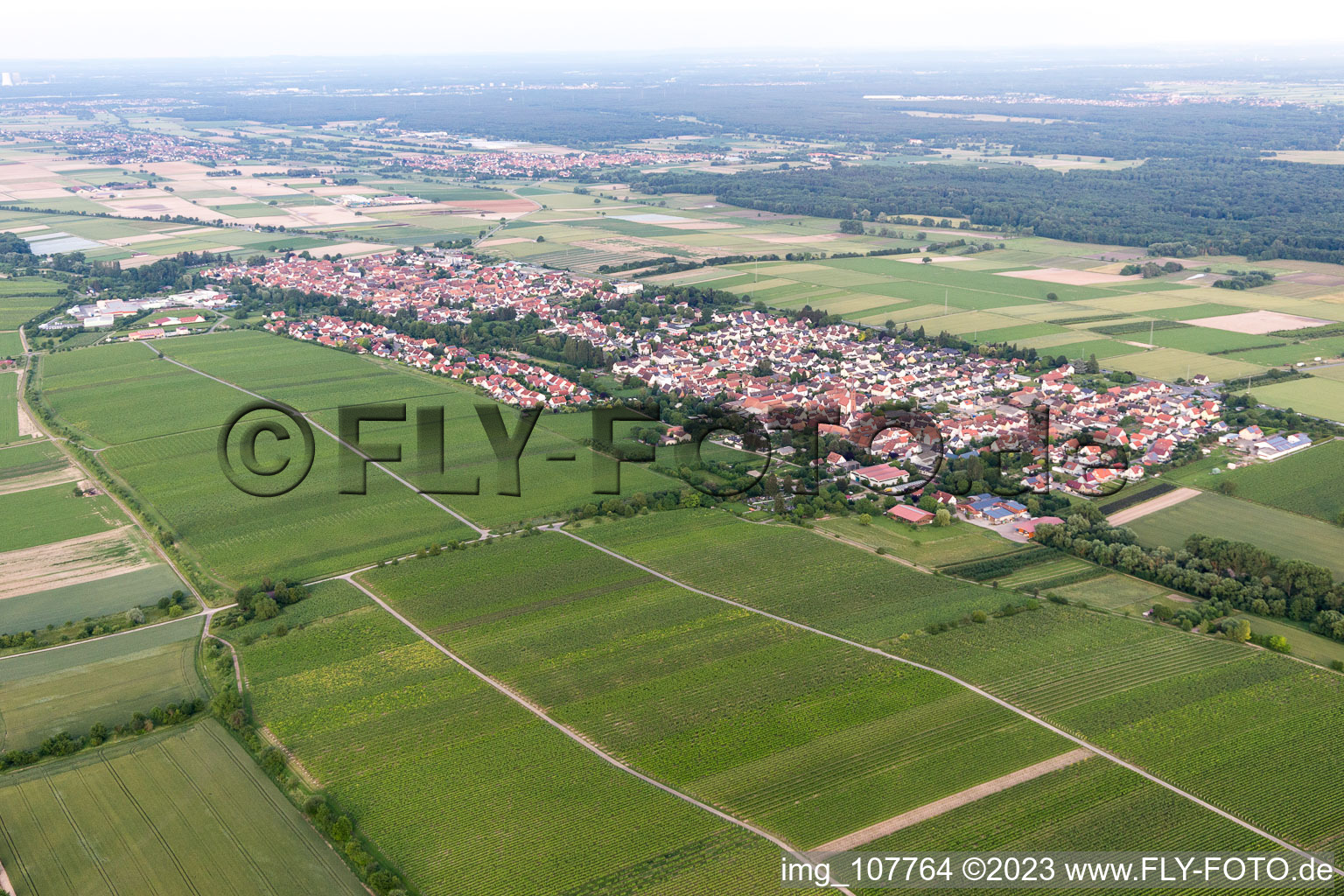 Essingen im Bundesland Rheinland-Pfalz, Deutschland aus der Drohnenperspektive