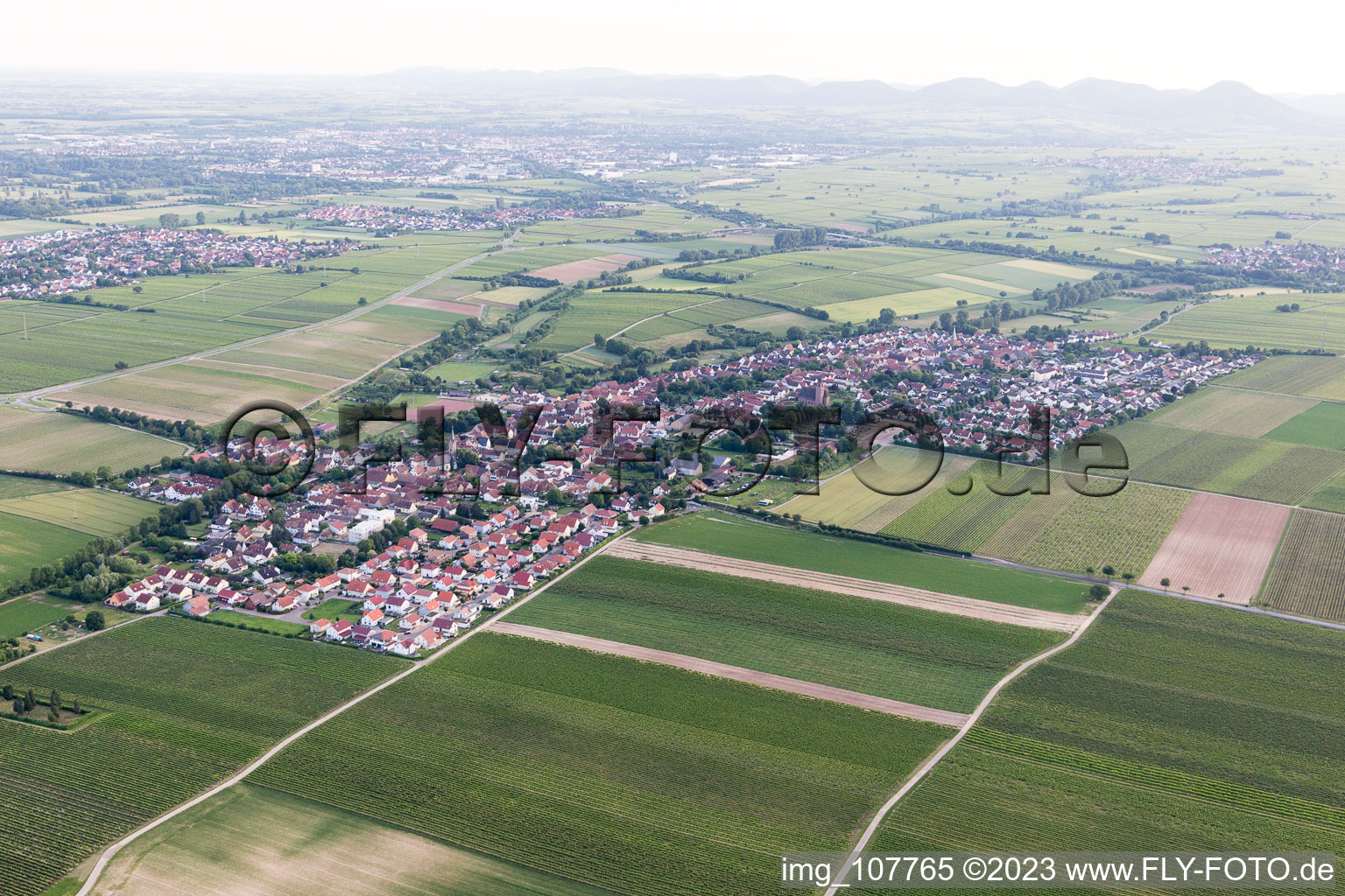 Essingen im Bundesland Rheinland-Pfalz, Deutschland von einer Drohne aus