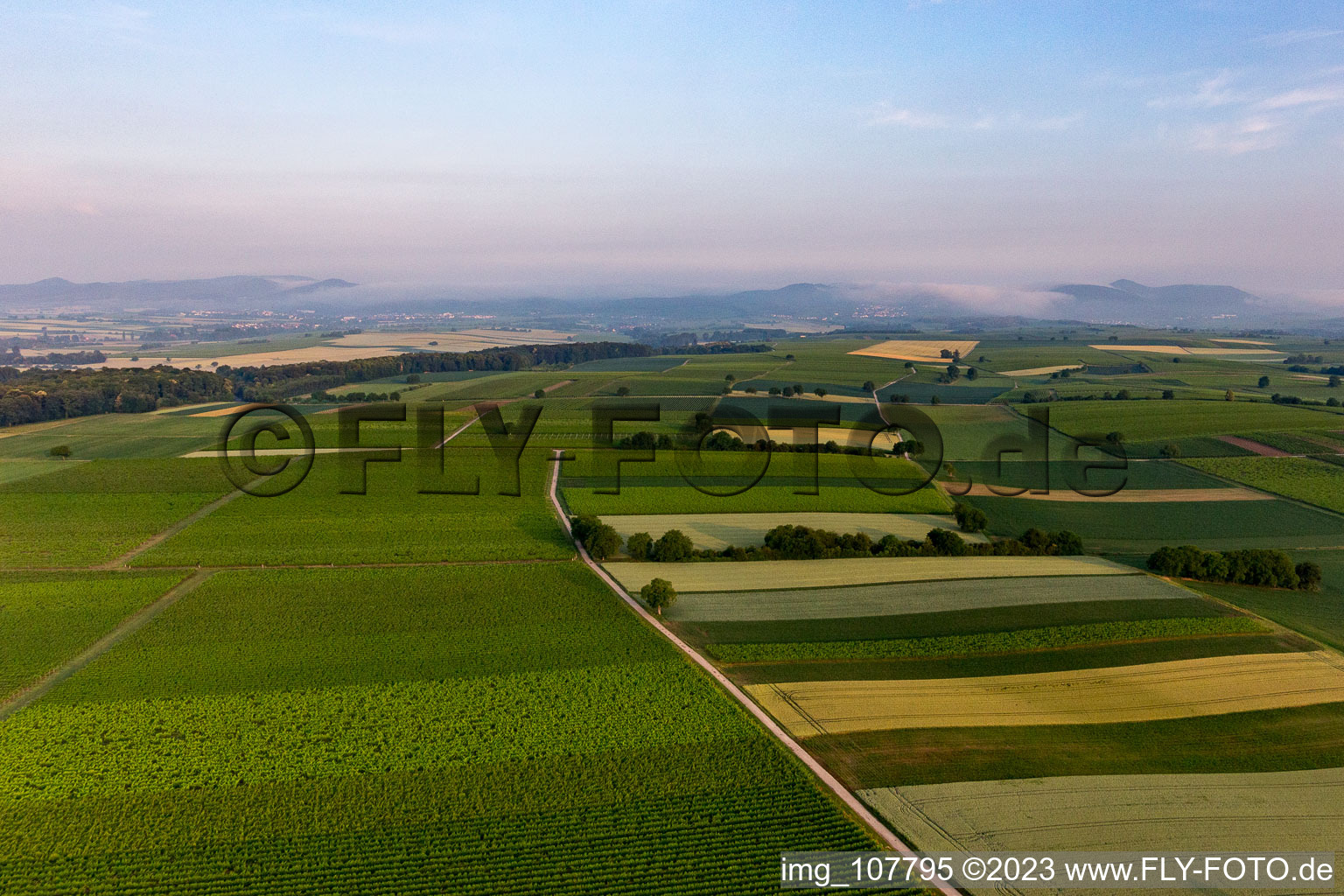 Winden im Bundesland Rheinland-Pfalz, Deutschland von einer Drohne aus