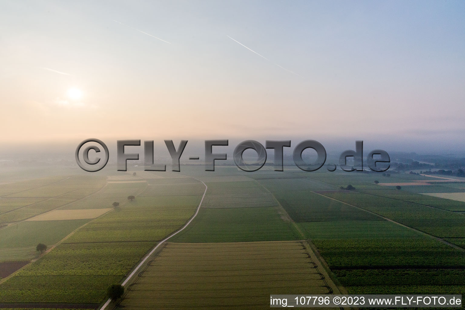 Hergersweiler im Bundesland Rheinland-Pfalz, Deutschland vom Flugzeug aus