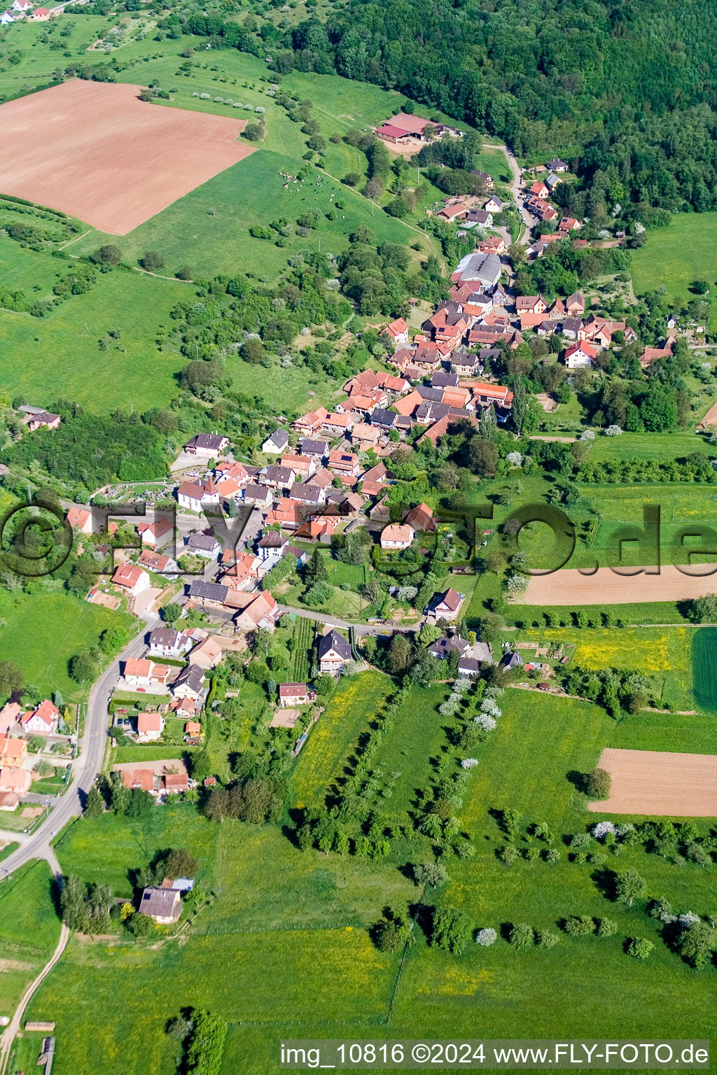 Dorf - Ansicht am Rande von landwirtschaftlichen Feldern und Nutzflächen im Ortsteil Mitschdorf in Gœrsdorf in Grand Est im Bundesland Bas-Rhin, Frankreich