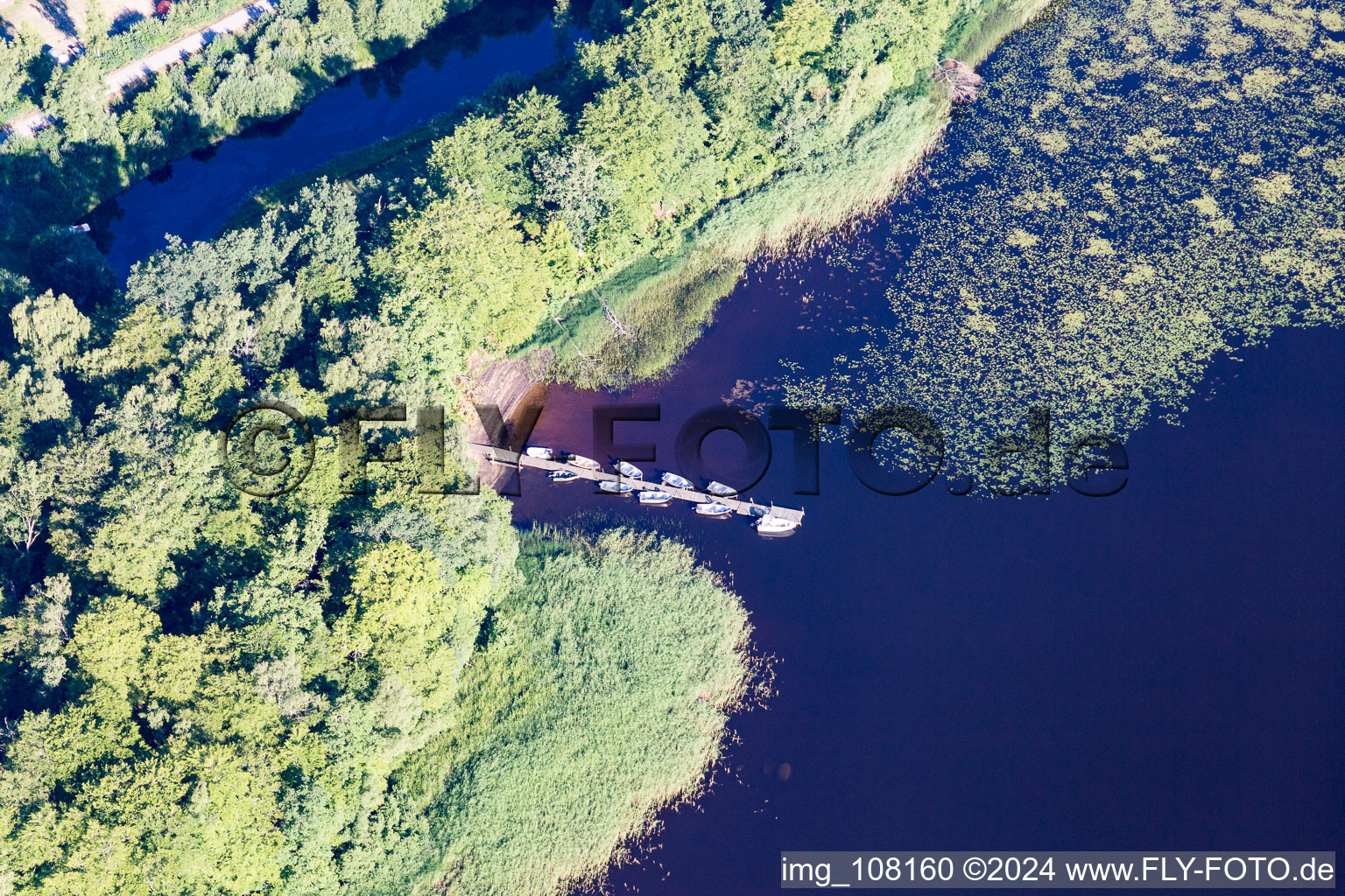 Uferbereiche mit Seerosen, Bootsanlege- und Badestelle des moorfarbenen Åsnen-See (Småland) in Tornein Kronobergs län, Schweden