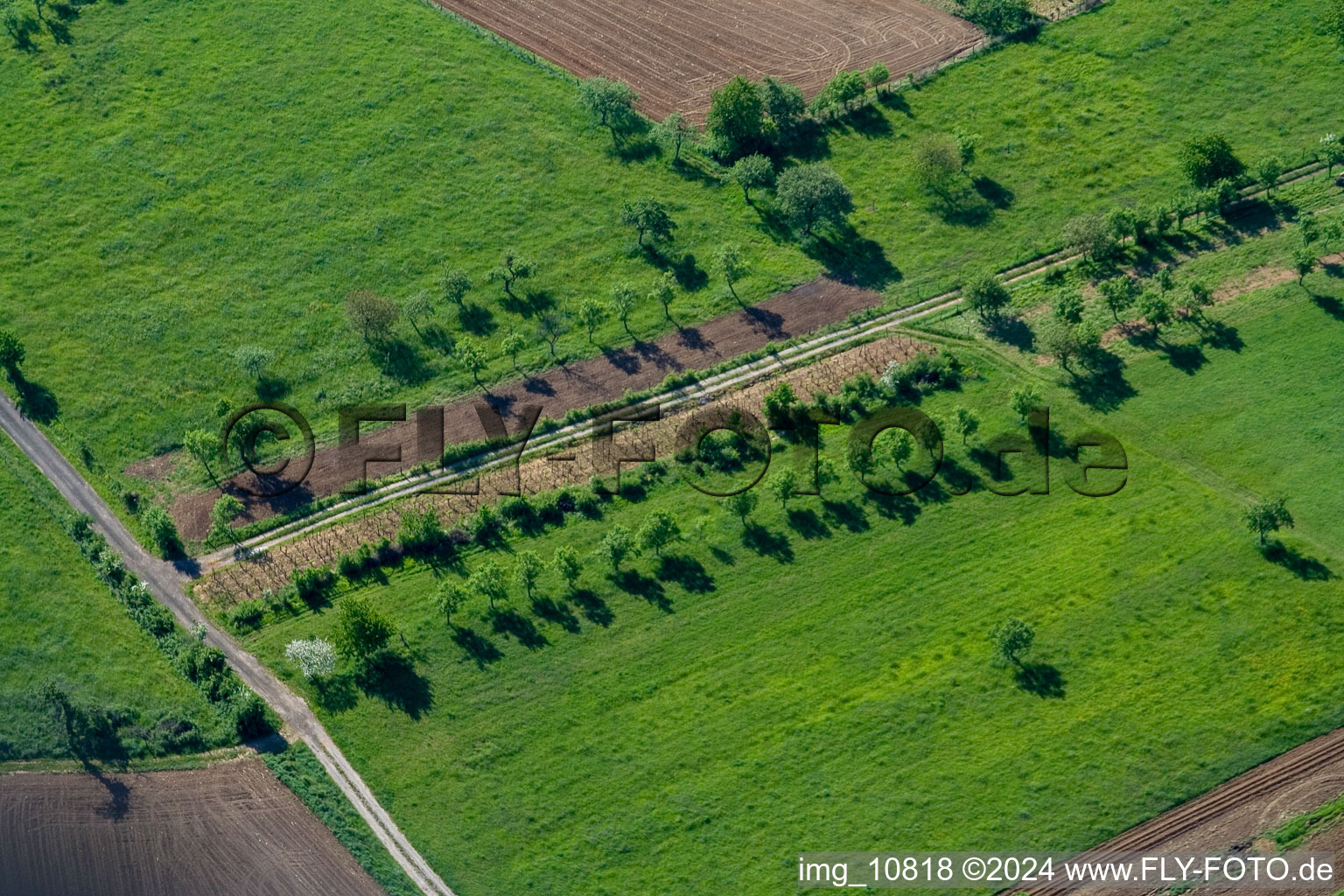 Mitschdorf im Bundesland Bas-Rhin, Frankreich aus der Luft betrachtet