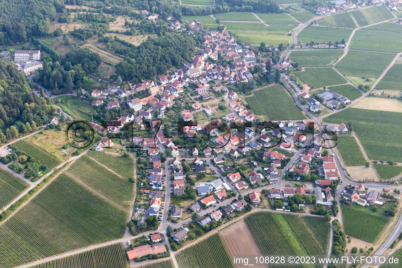 Gleisweiler im Bundesland Rheinland-Pfalz, Deutschland aus der Vogelperspektive