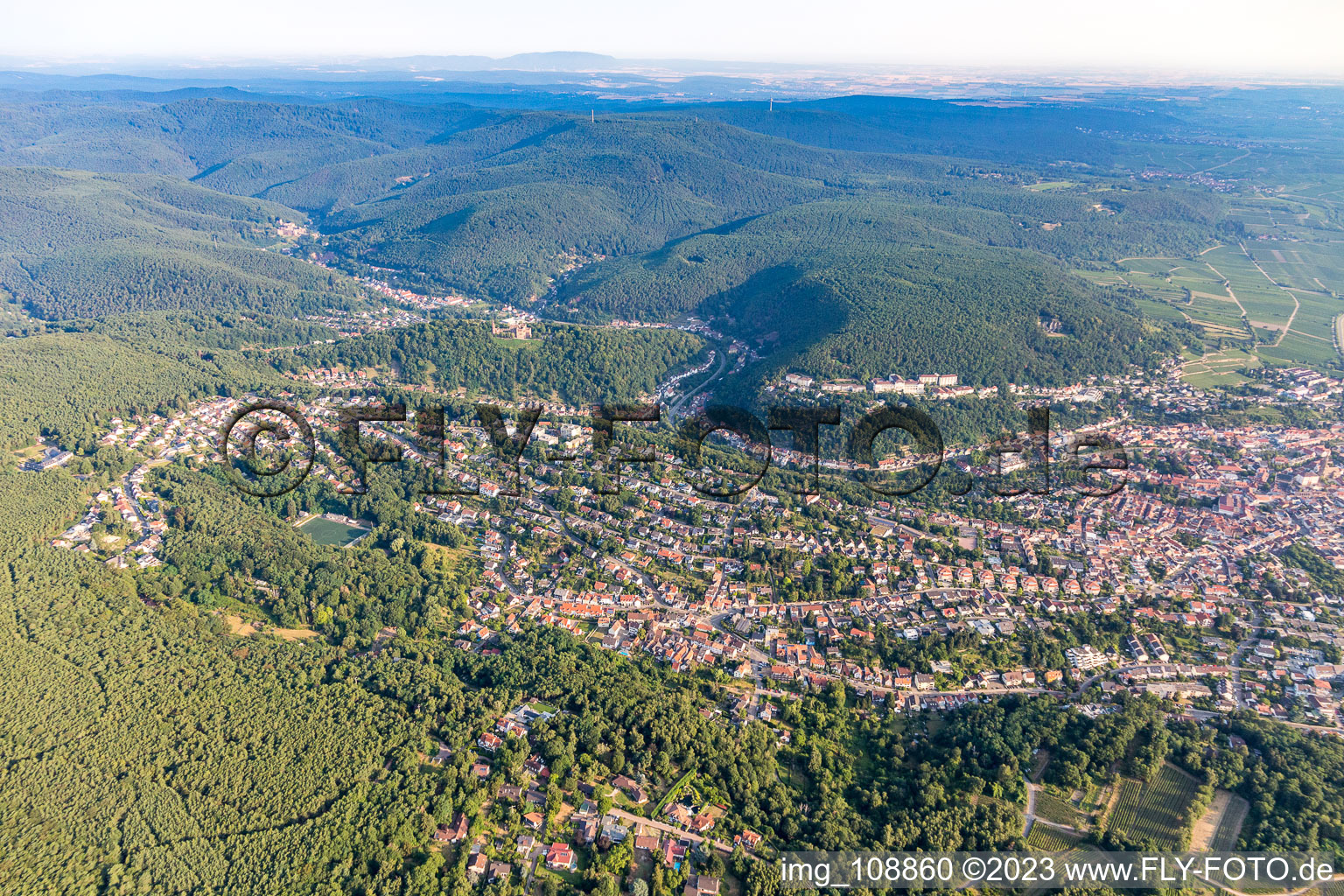 Wachenheim an der Weinstraße im Bundesland Rheinland-Pfalz, Deutschland von der Drohne aus gesehen