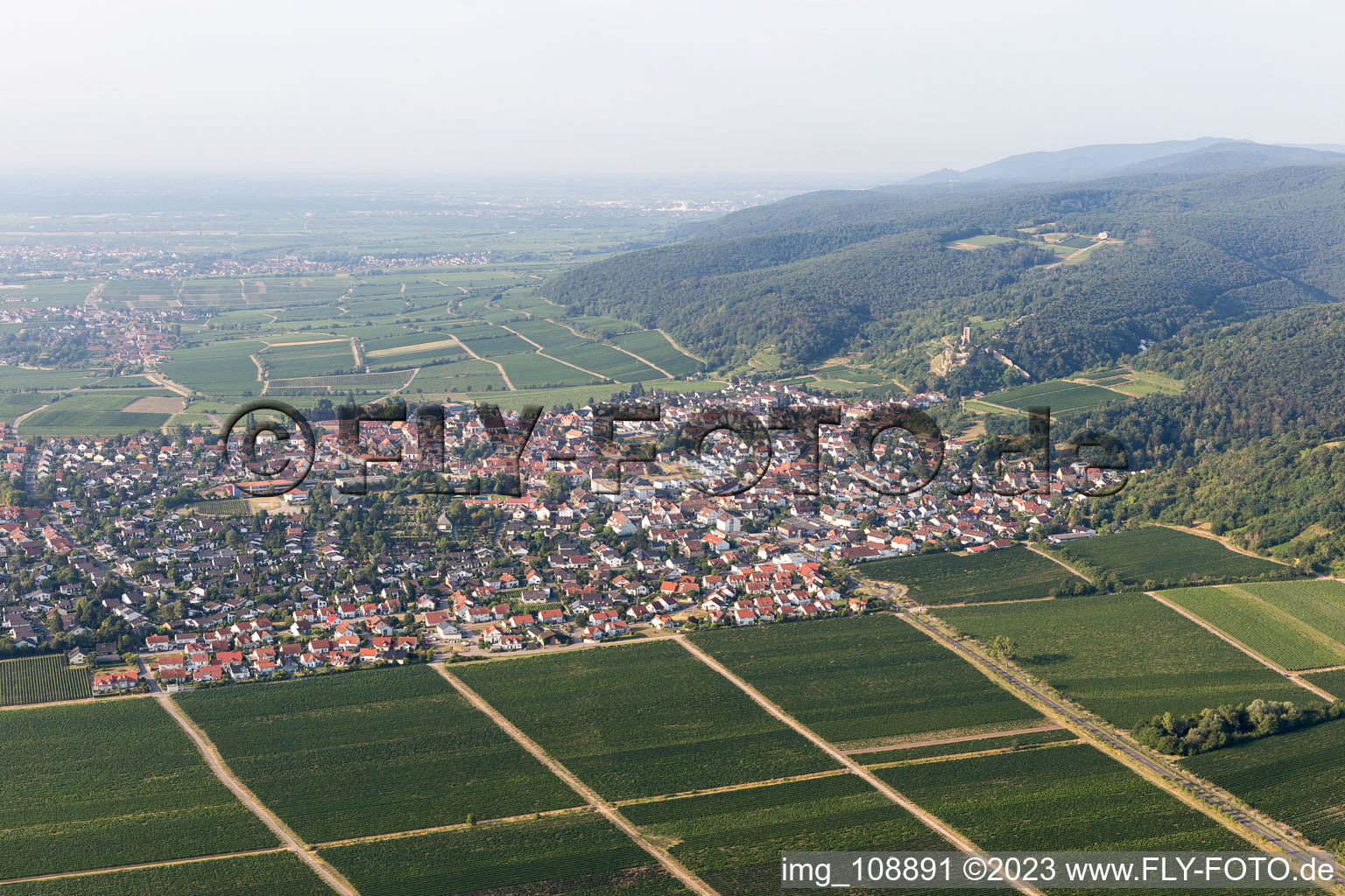 Luftaufnahme von Wachenheim an der Weinstraße im Bundesland Rheinland-Pfalz, Deutschland