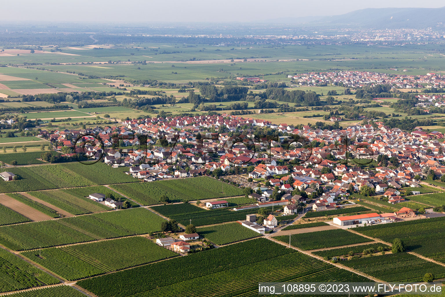 Niederkirchen bei Deidesheim im Bundesland Rheinland-Pfalz, Deutschland aus der Luft