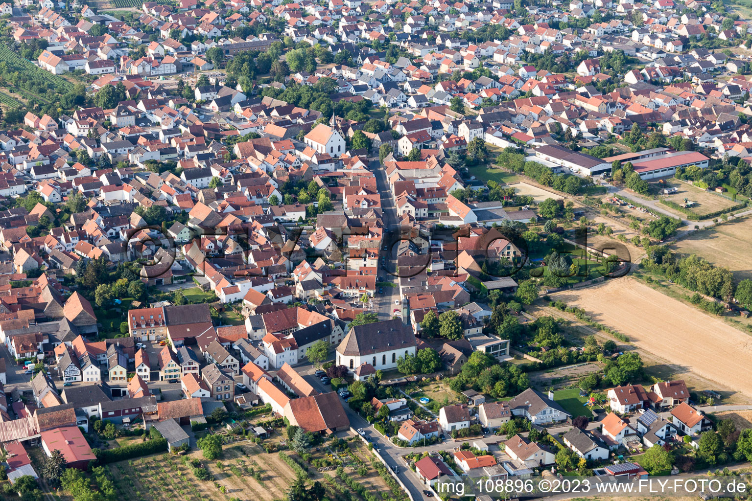 Meckenheim im Bundesland Rheinland-Pfalz, Deutschland aus der Luft