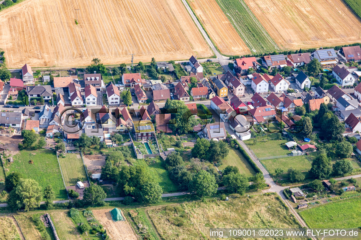 Freckenfeld im Bundesland Rheinland-Pfalz, Deutschland aus der Luft