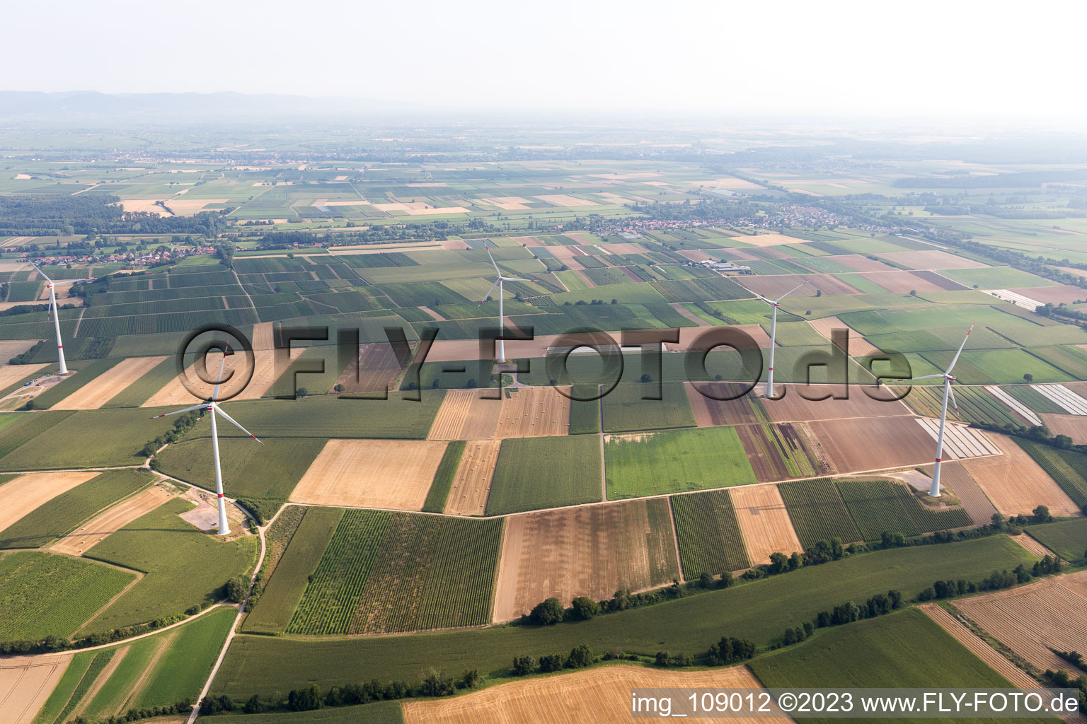 Luftbild von Windpark in Freckenfeld im Bundesland Rheinland-Pfalz, Deutschland