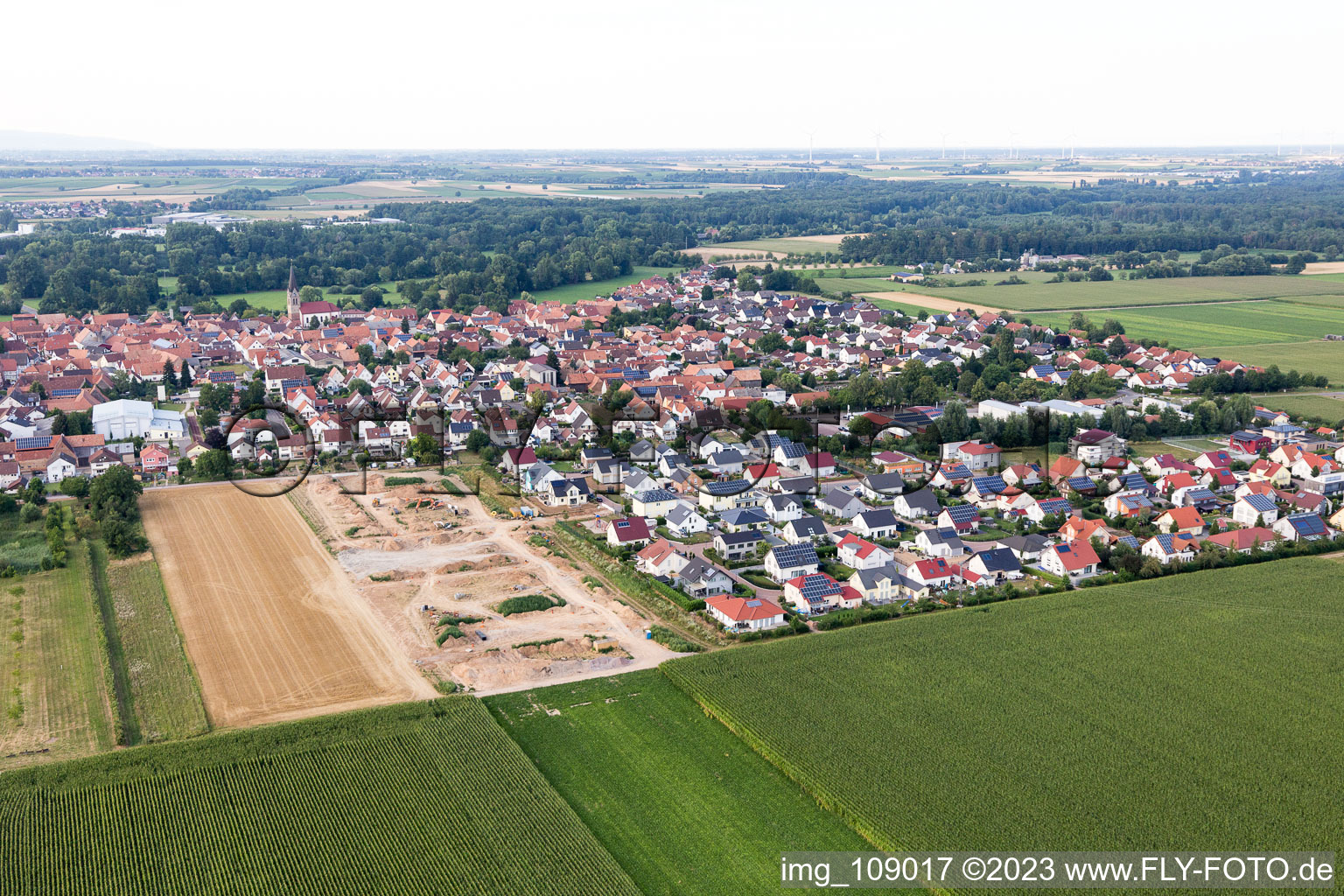 Steinweiler im Bundesland Rheinland-Pfalz, Deutschland aus der Luft